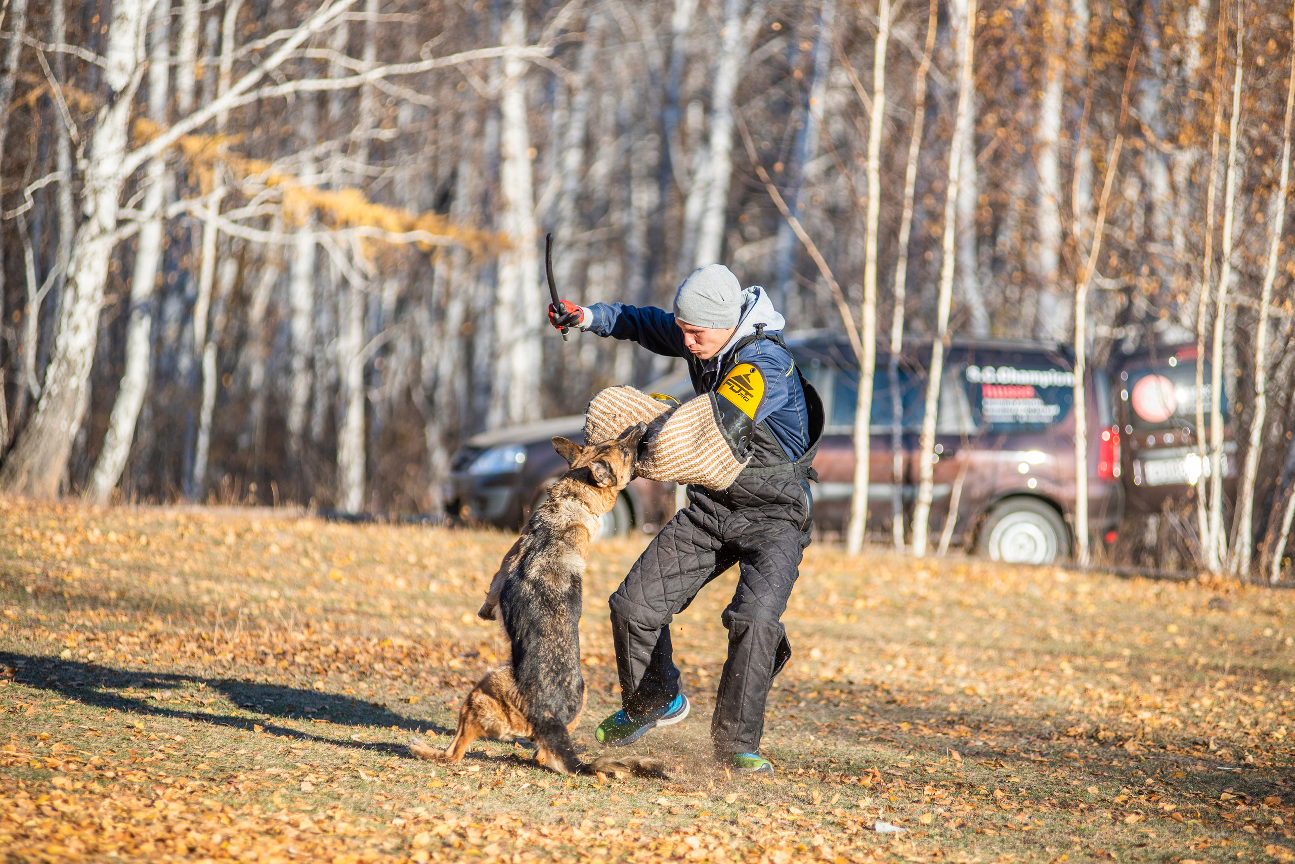 RUSSIAN HELPERS SCHOOL. Магнитогорск октябрь 2021. Дог-фотограф в Тюмени Александра Королева