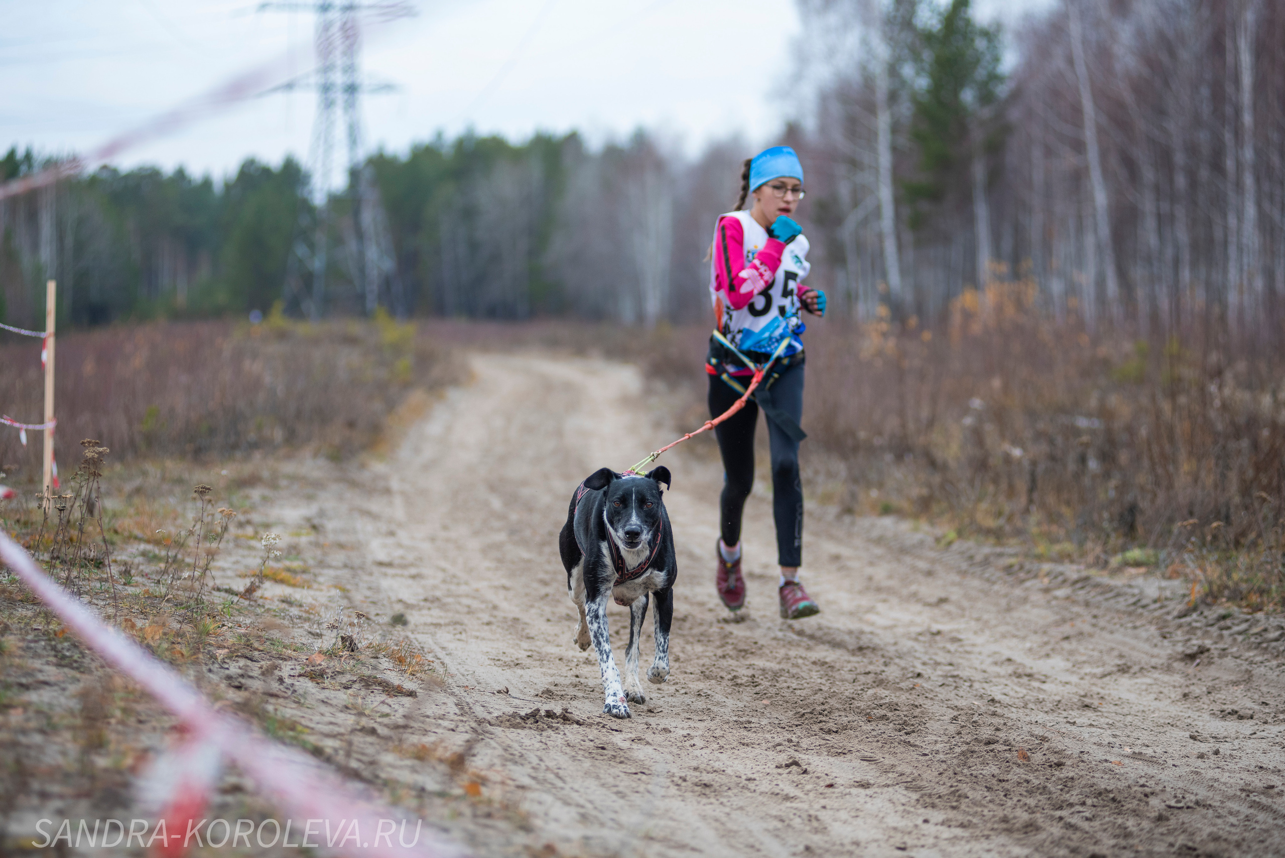 Спринт-гонка «Закрытие сезона» 24.10.2021. Дог-фотограф в Тюмени Александра Королева