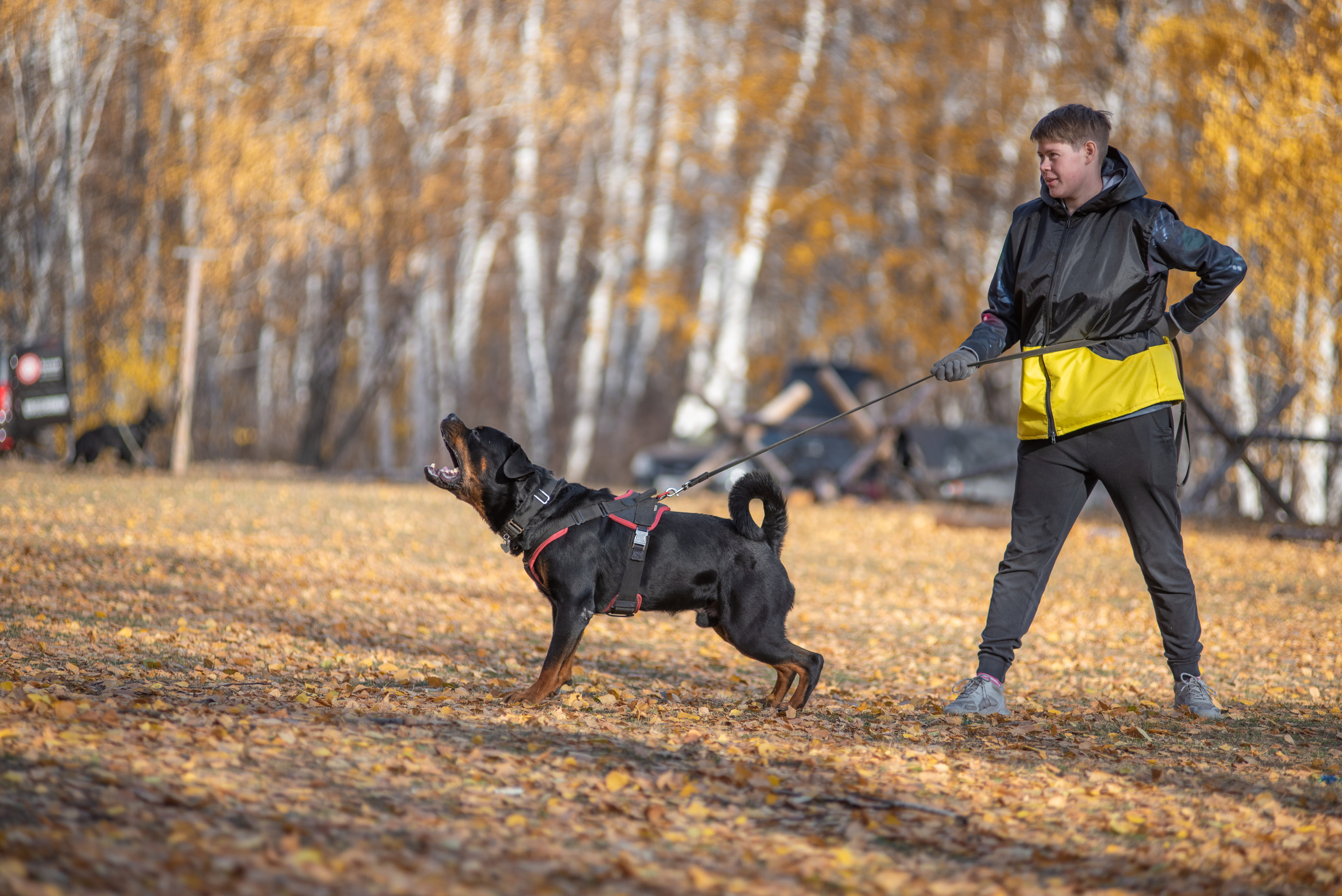 RUSSIAN HELPERS SCHOOL. Магнитогорск октябрь 2021. Дог-фотограф в Тюмени Александра Королева