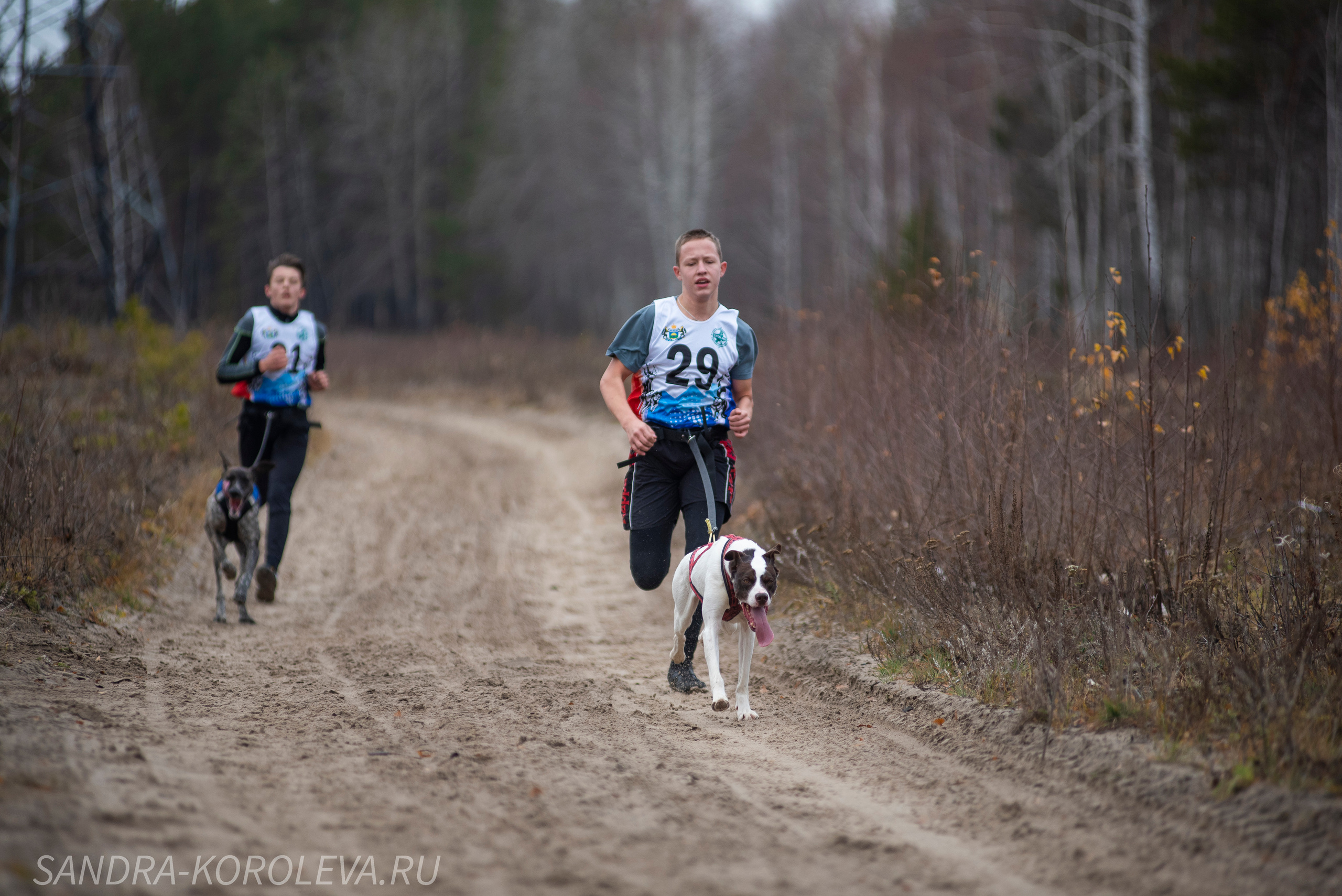 Спринт-гонка «Закрытие сезона» 24.10.2021. Дог-фотограф в Тюмени Александра Королева