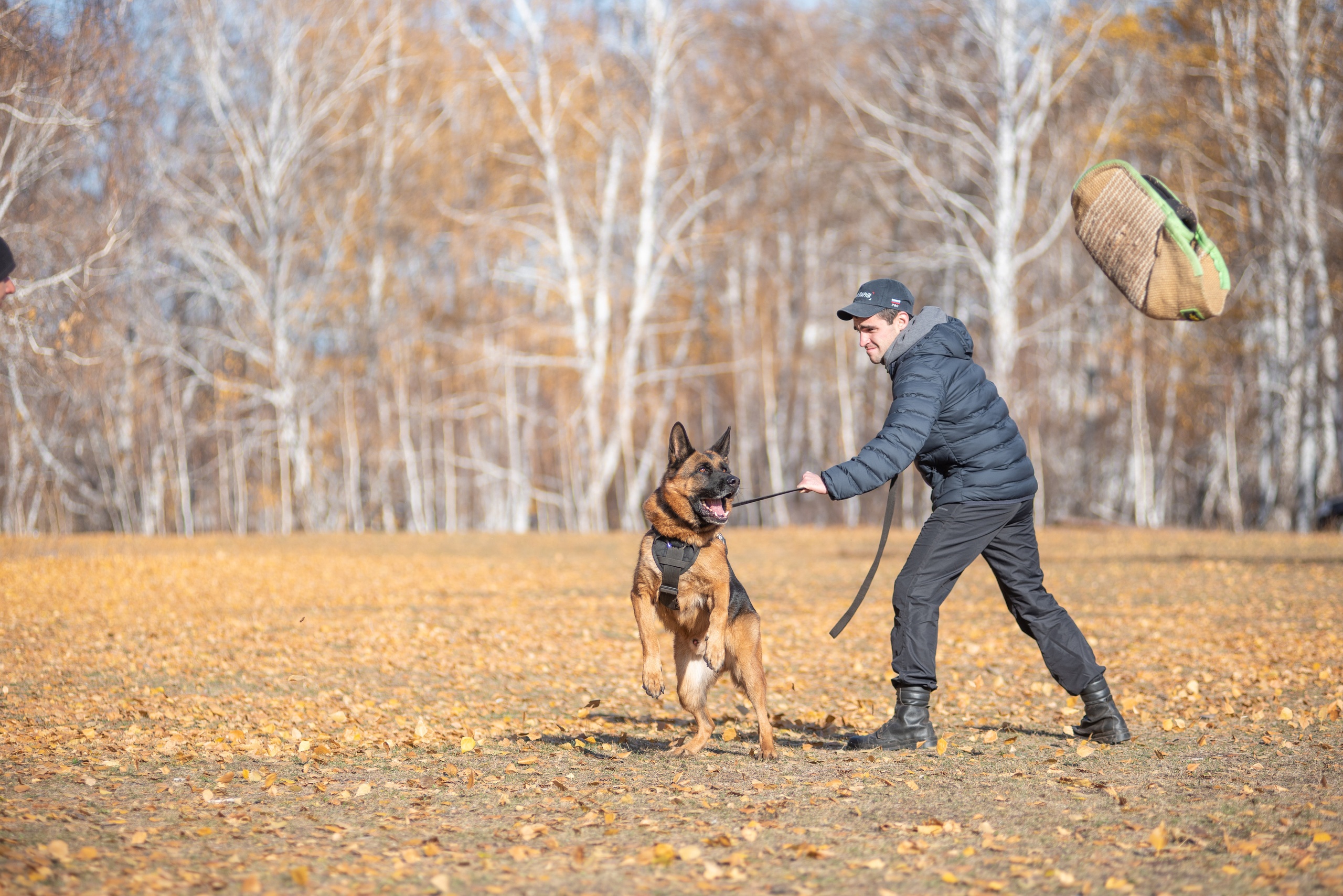 RUSSIAN HELPERS SCHOOL. Магнитогорск октябрь 2021. Дог-фотограф в Тюмени Александра Королева