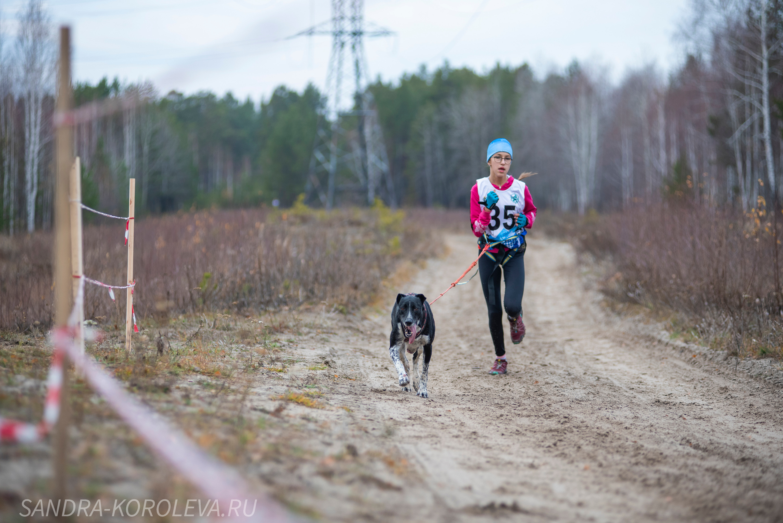 Спринт-гонка «Закрытие сезона» 24.10.2021. Дог-фотограф в Тюмени Александра Королева
