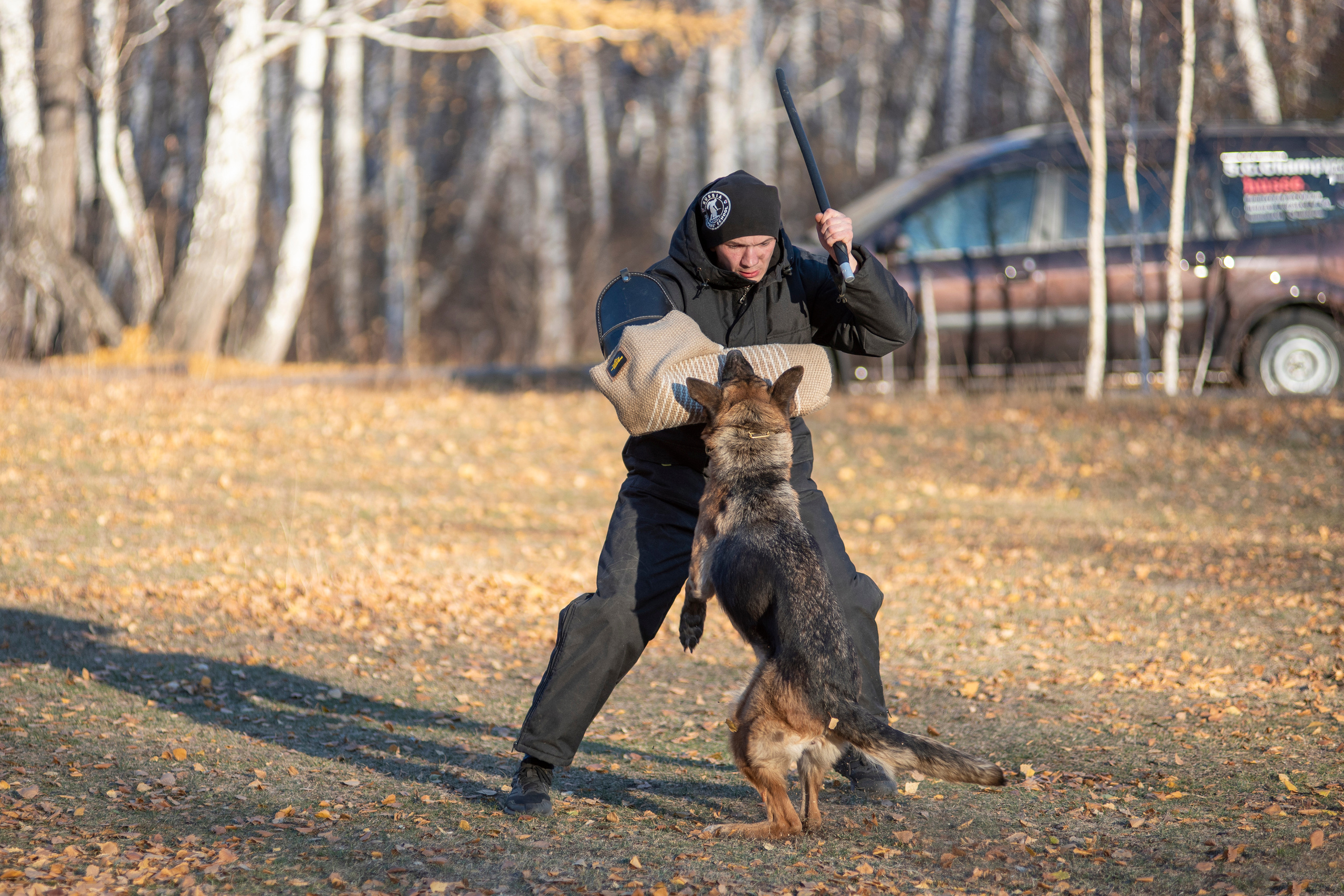 RUSSIAN HELPERS SCHOOL. Магнитогорск октябрь 2021. Дог-фотограф в Тюмени Александра Королева