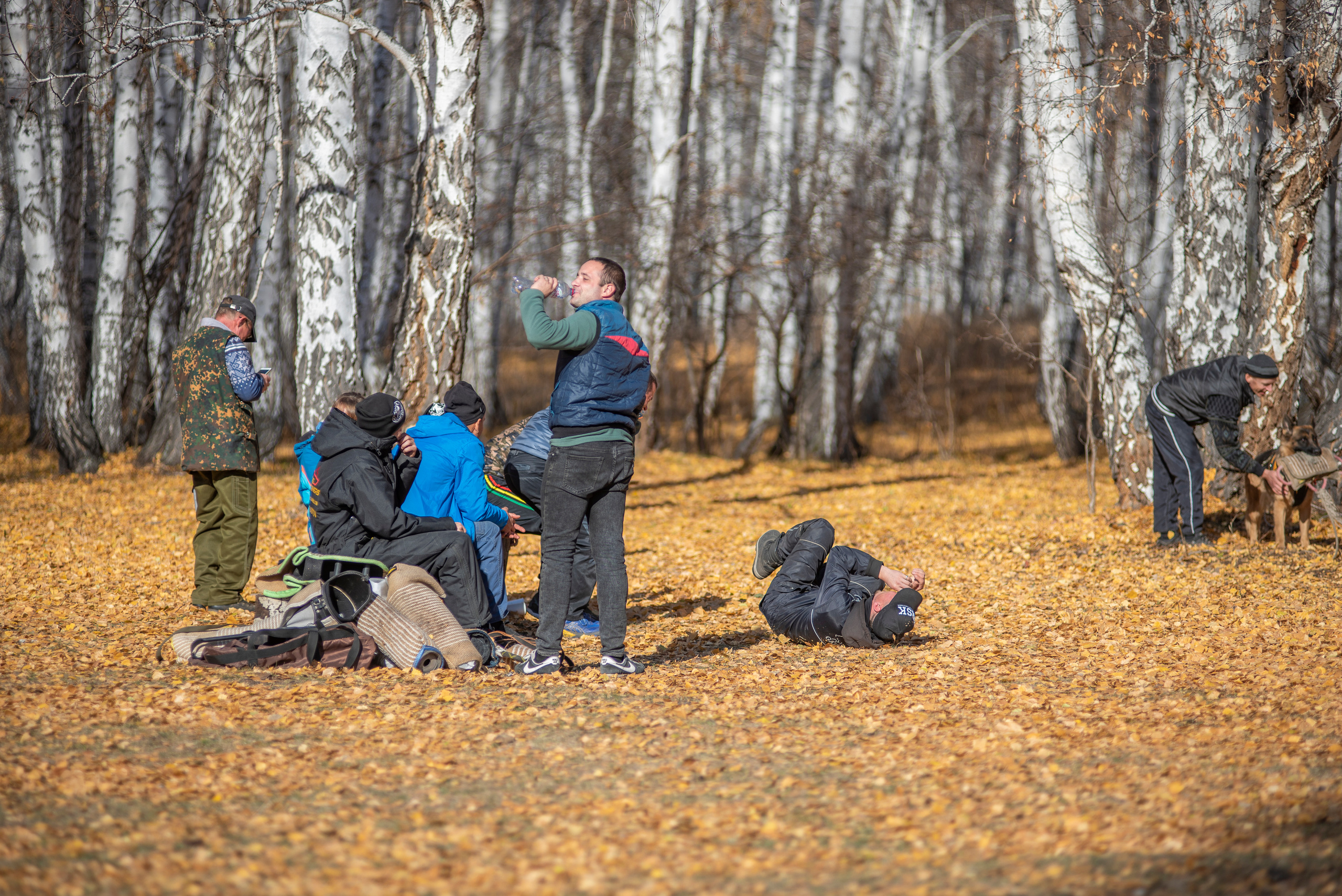 RUSSIAN HELPERS SCHOOL. Магнитогорск октябрь 2021. Дог-фотограф в Тюмени Александра Королева