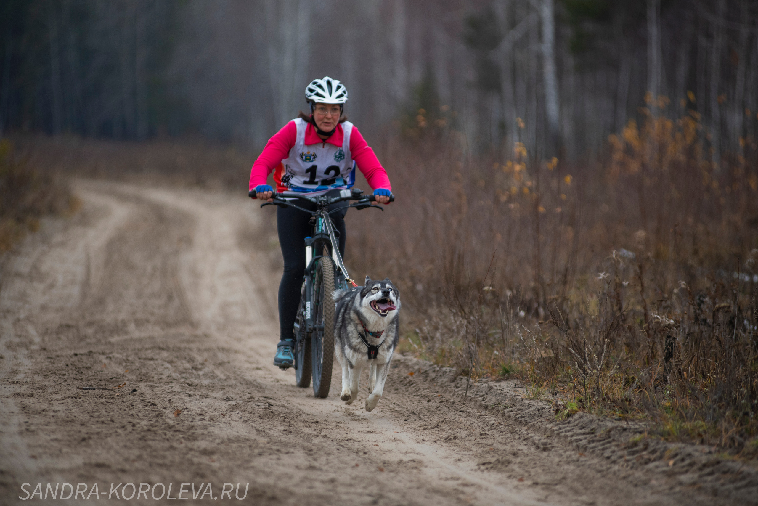 Спринт-гонка «Закрытие сезона» 24.10.2021. Дог-фотограф в Тюмени Александра Королева