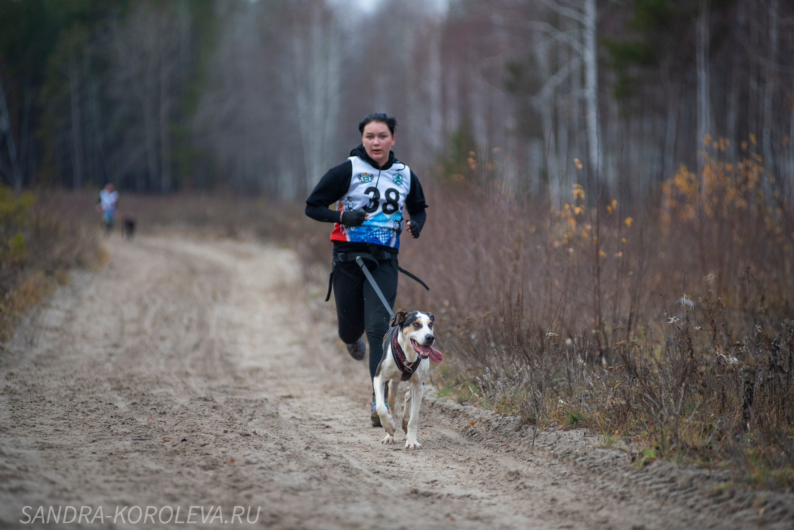 Спринт-гонка «Закрытие сезона» 24.10.2021. Дог-фотограф в Тюмени Александра Королева