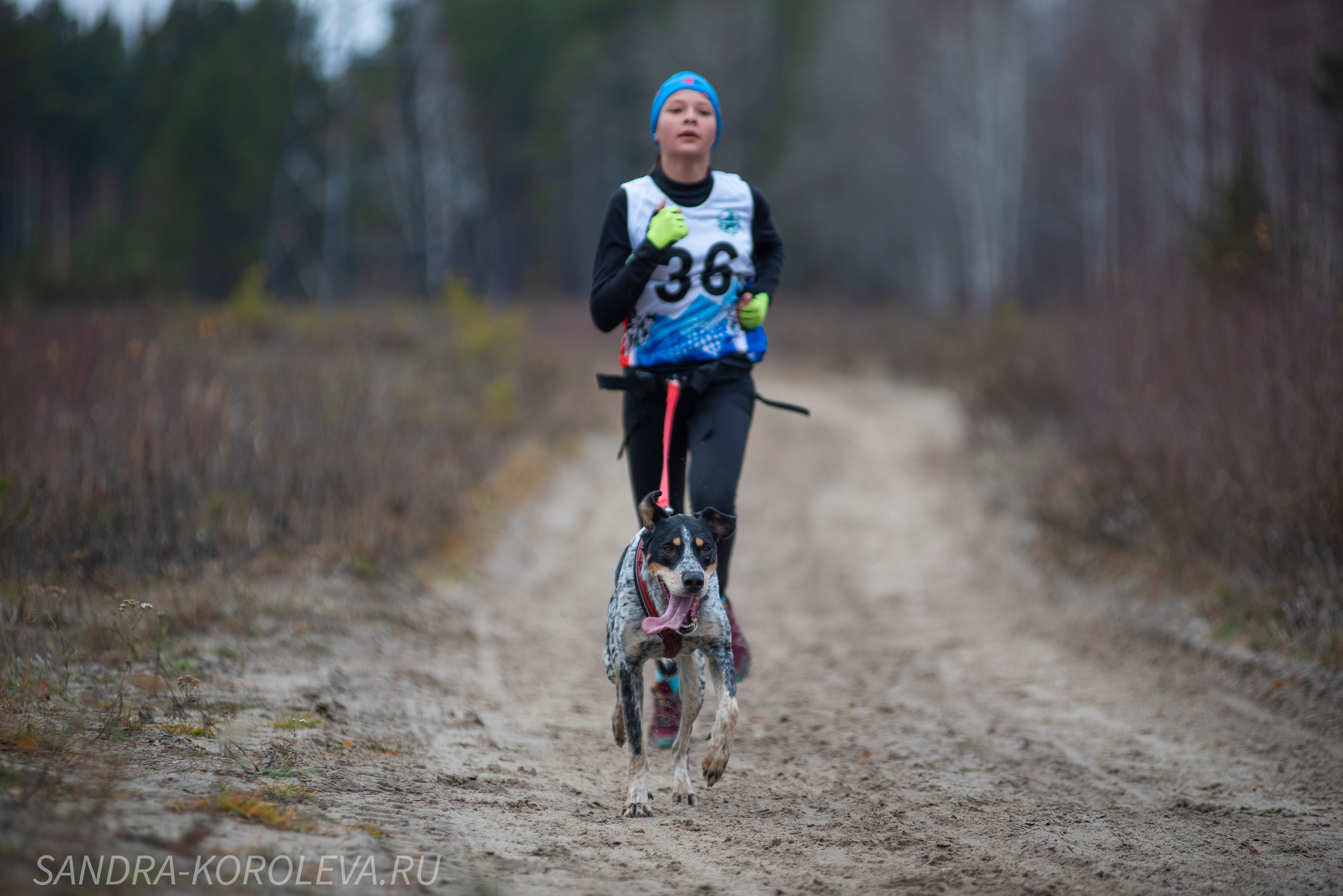 Спринт-гонка «Закрытие сезона» 24.10.2021. Дог-фотограф в Тюмени Александра Королева