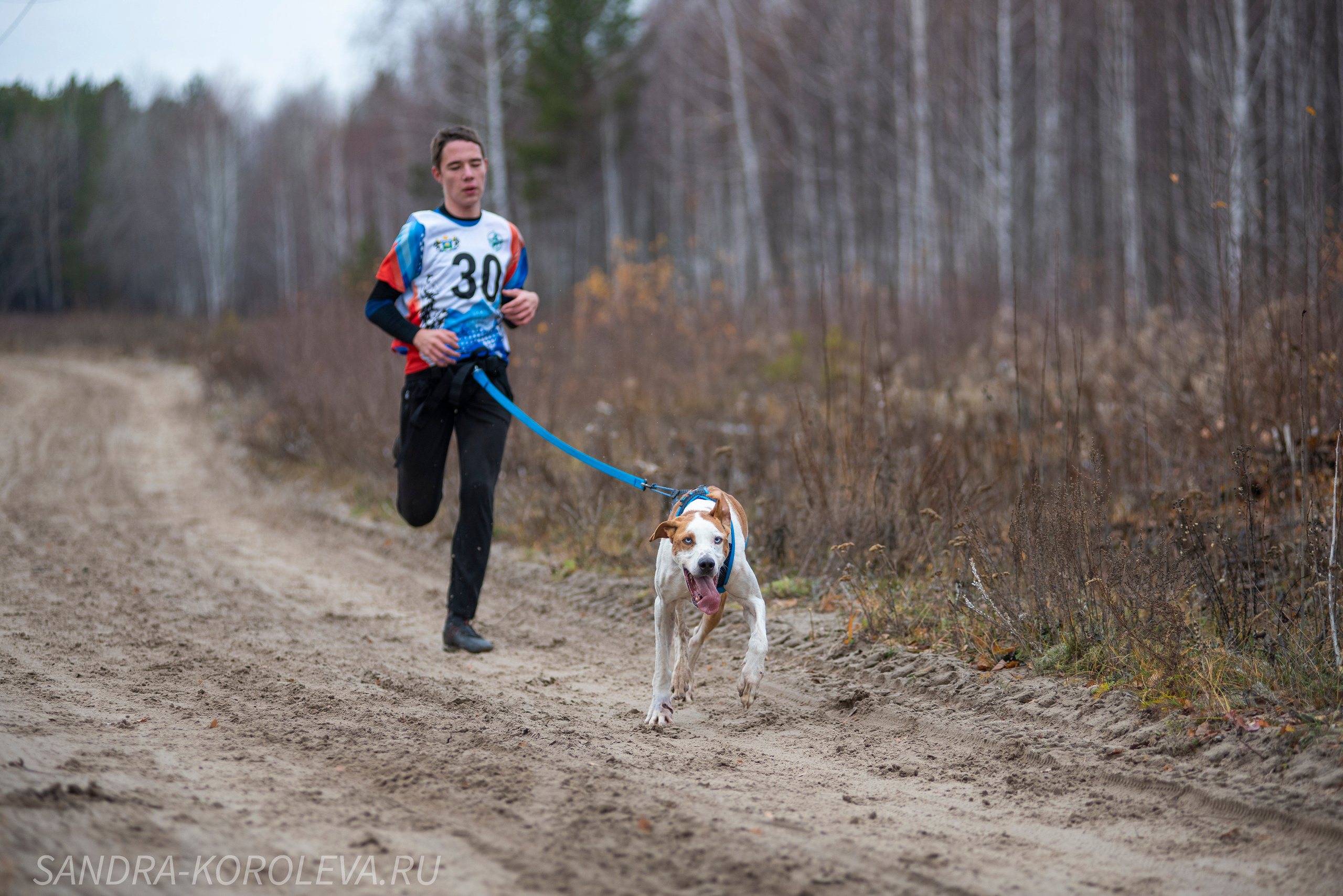 Спринт-гонка «Закрытие сезона» 24.10.2021. Дог-фотограф в Тюмени Александра Королева