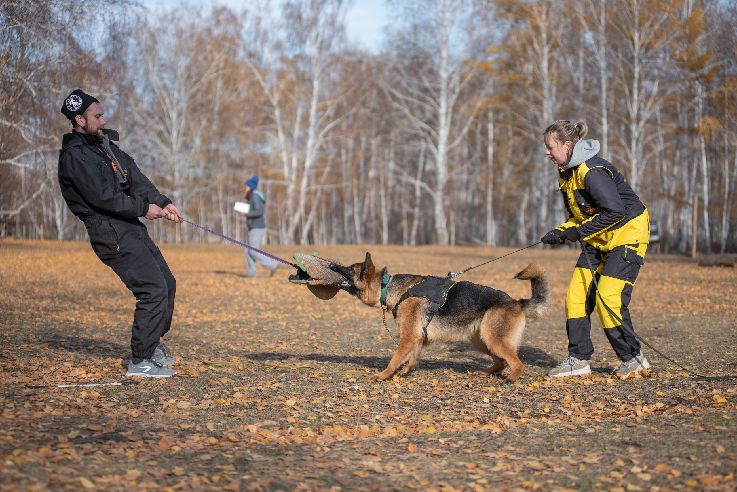 RUSSIAN HELPERS SCHOOL. Магнитогорск октябрь 2021. Дог-фотограф в Тюмени Александра Королева