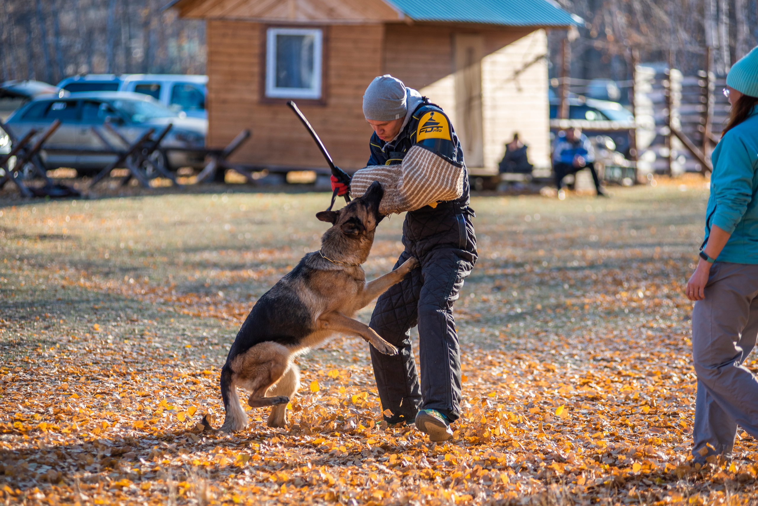 RUSSIAN HELPERS SCHOOL. Магнитогорск октябрь 2021. Дог-фотограф в Тюмени Александра Королева
