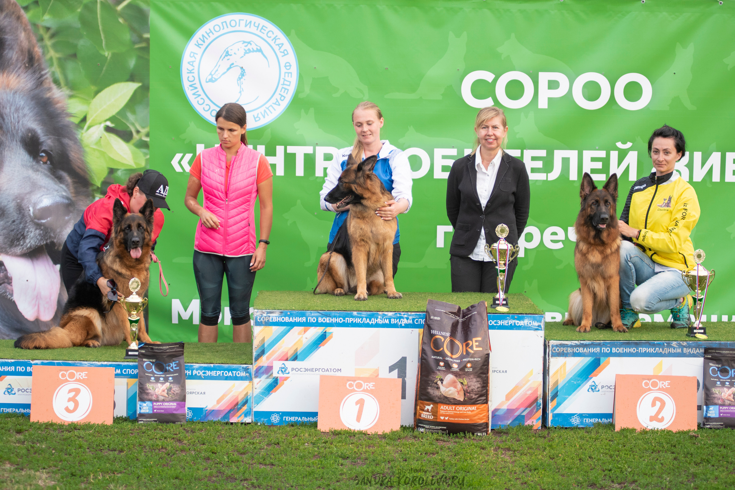 Монопородная выставка немецких овчарок, г. Заречный 2021. Дог-фотограф в Тюмени Александра Королева