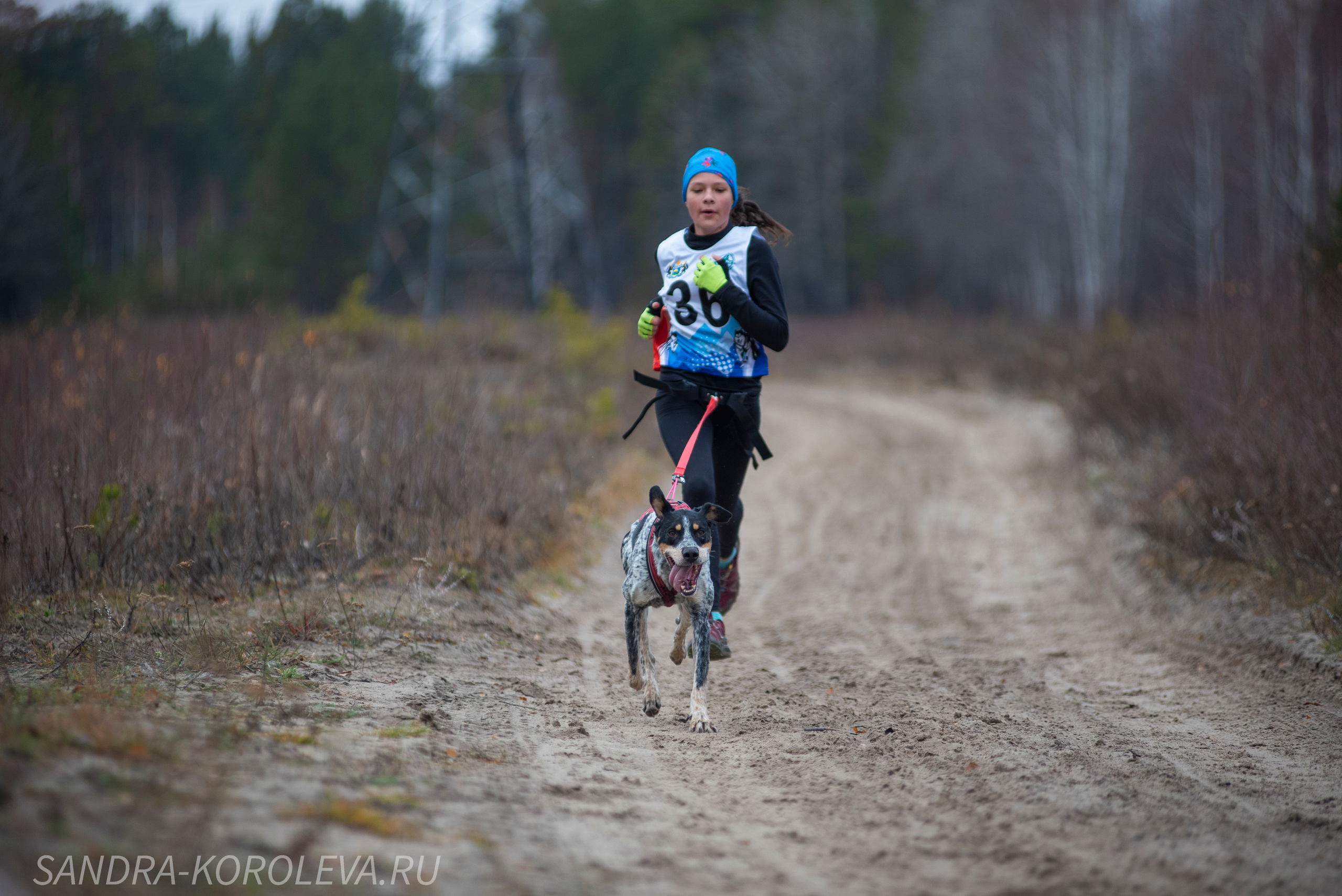 Спринт-гонка «Закрытие сезона» 24.10.2021. Дог-фотограф в Тюмени Александра Королева