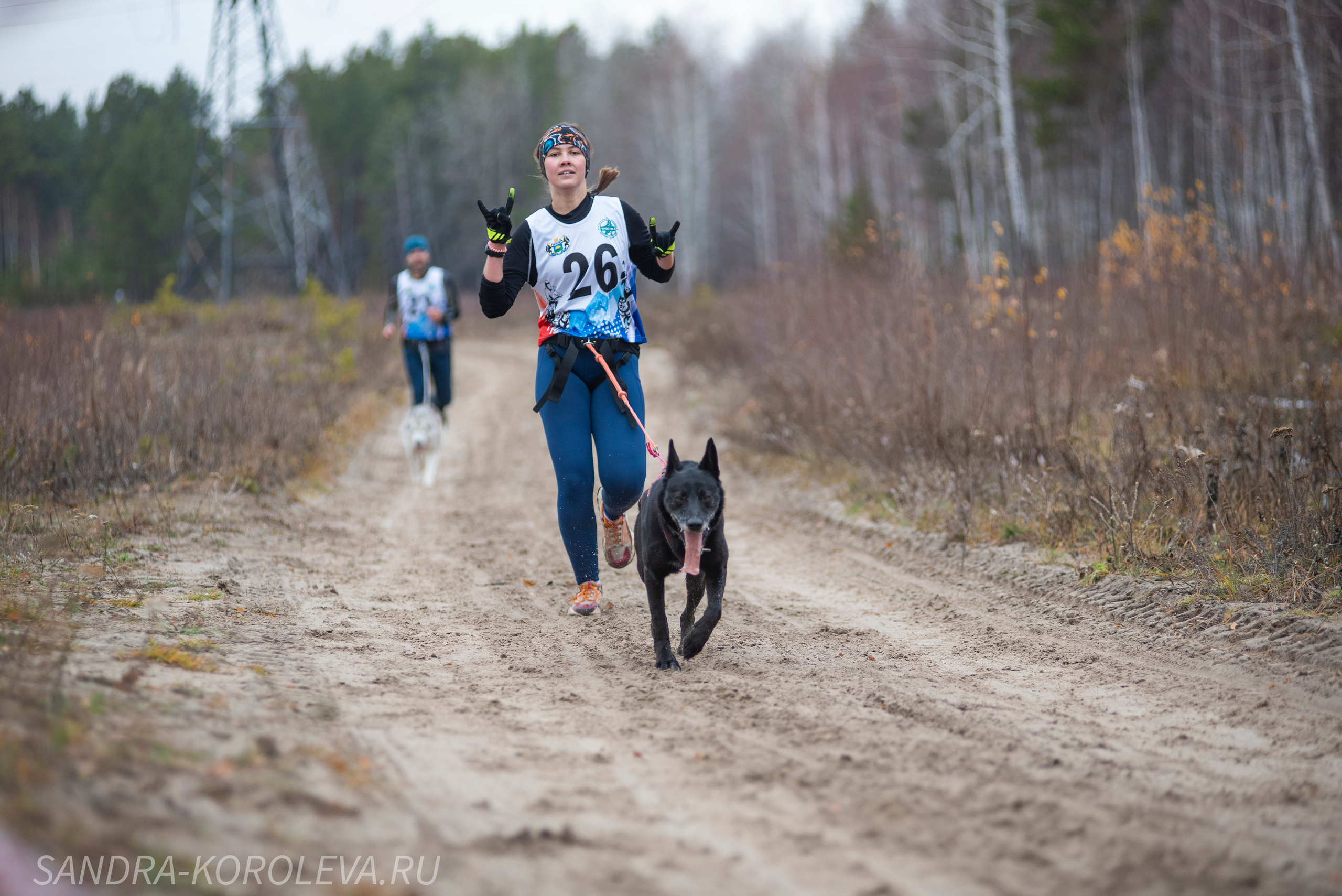 Спринт-гонка «Закрытие сезона» 24.10.2021. Дог-фотограф в Тюмени Александра Королева