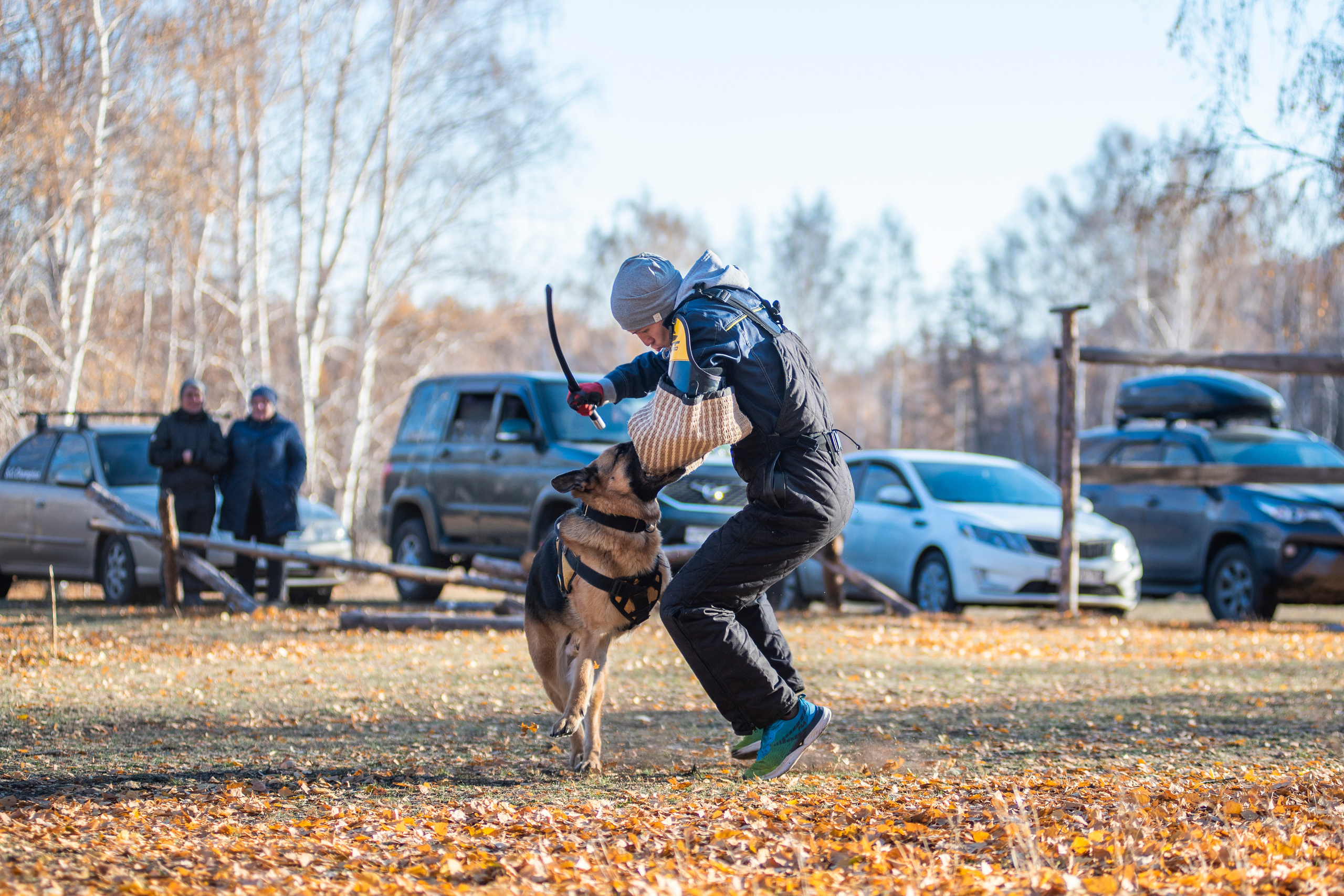 RUSSIAN HELPERS SCHOOL. Магнитогорск октябрь 2021. Дог-фотограф в Тюмени Александра Королева