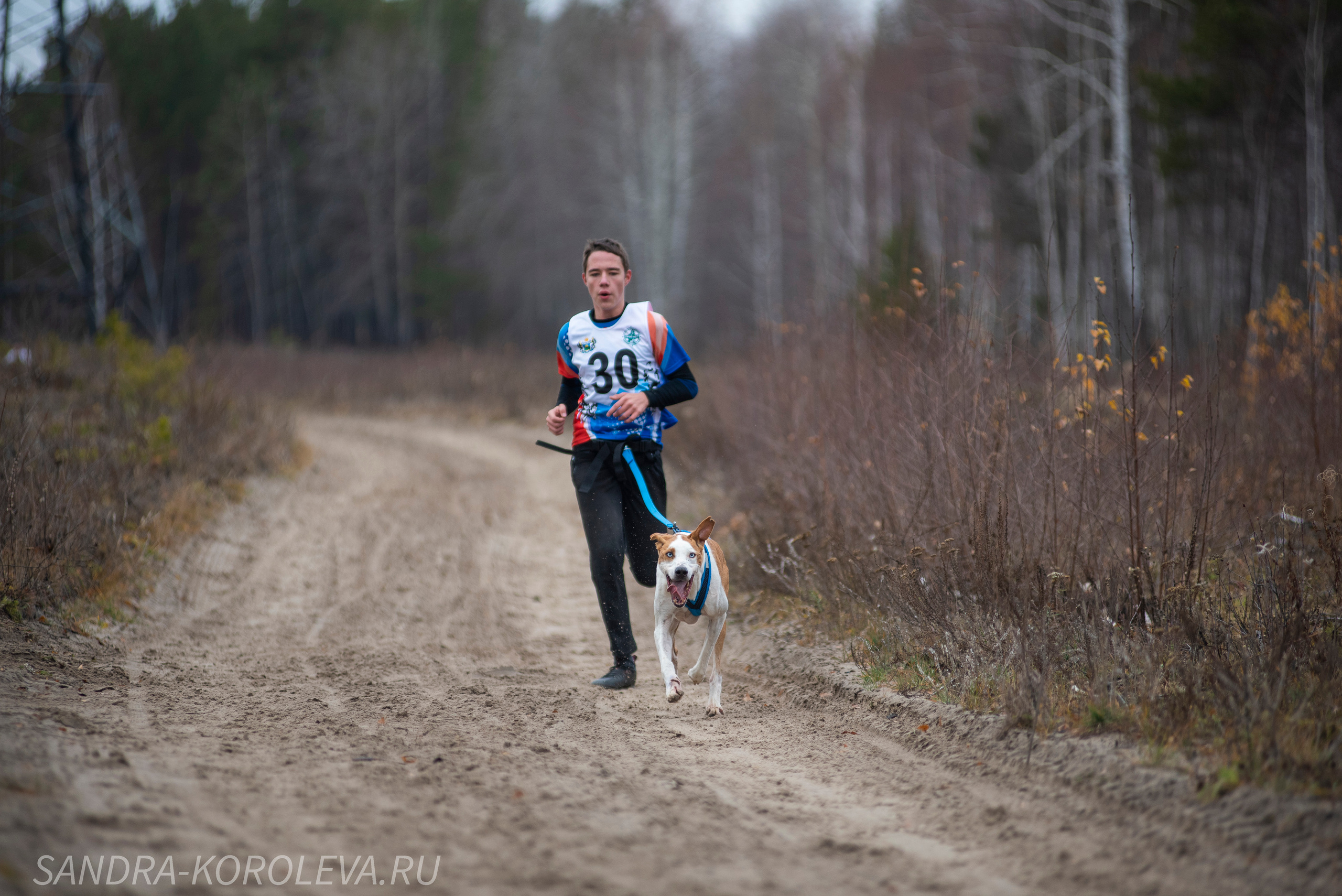 Спринт-гонка «Закрытие сезона» 24.10.2021. Дог-фотограф в Тюмени Александра Королева
