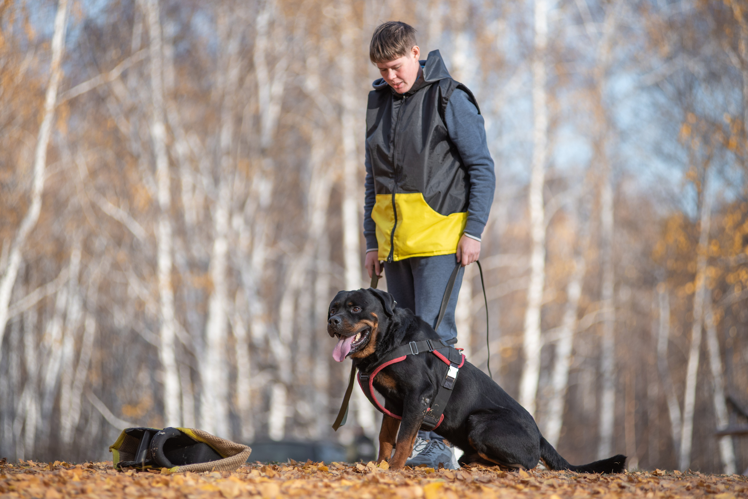 RUSSIAN HELPERS SCHOOL. Магнитогорск октябрь 2021. Дог-фотограф в Тюмени Александра Королева