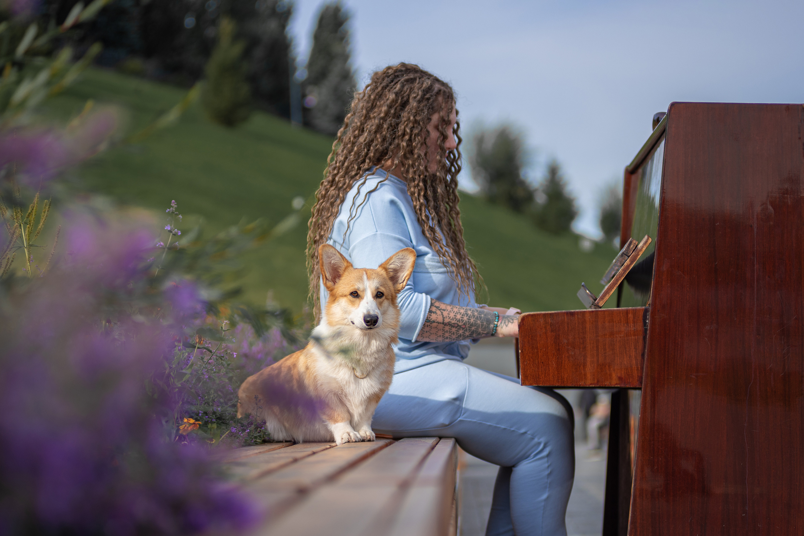 Ася и Плюша. Дог-фотограф в Тюмени Александра Королева