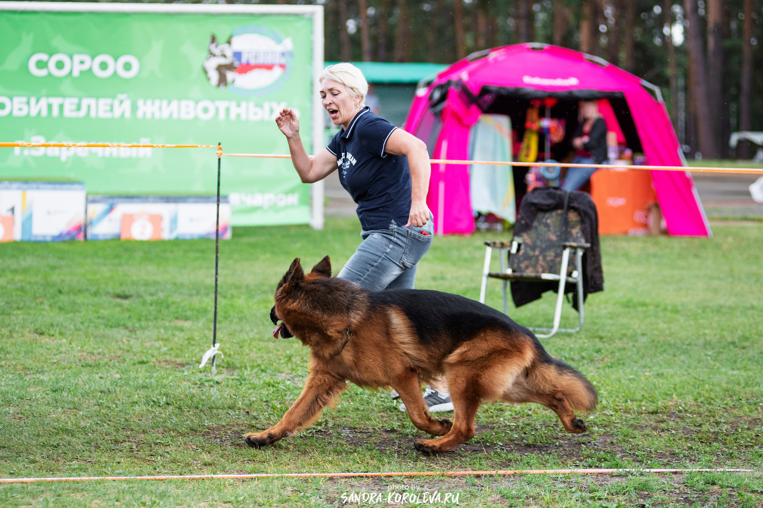 Монопородная выставка немецких овчарок, г. Заречный 2021. Дог-фотограф в Тюмени Александра Королева