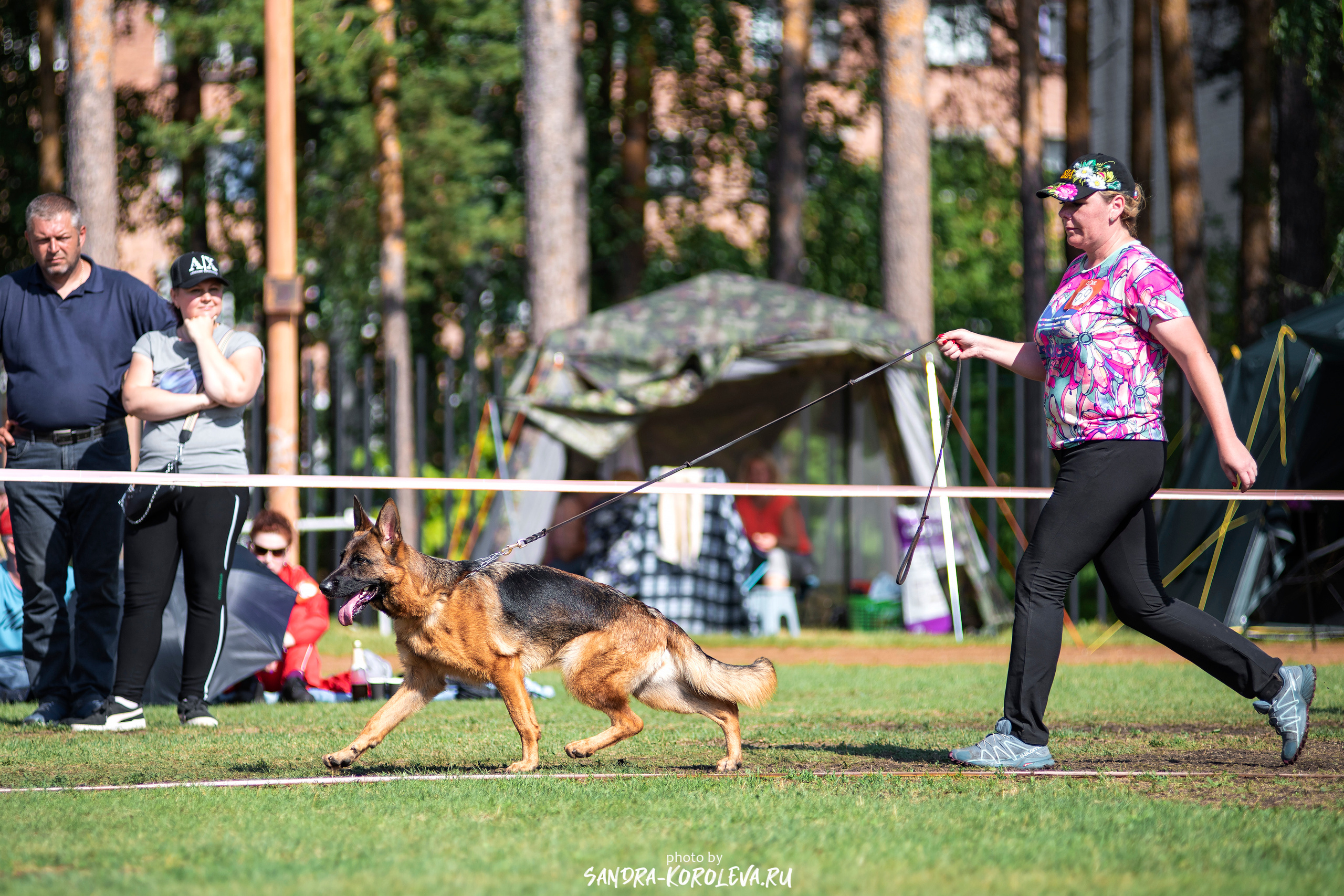 Монопородная выставка немецких овчарок, г. Заречный 2021. Дог-фотограф в Тюмени Александра Королева