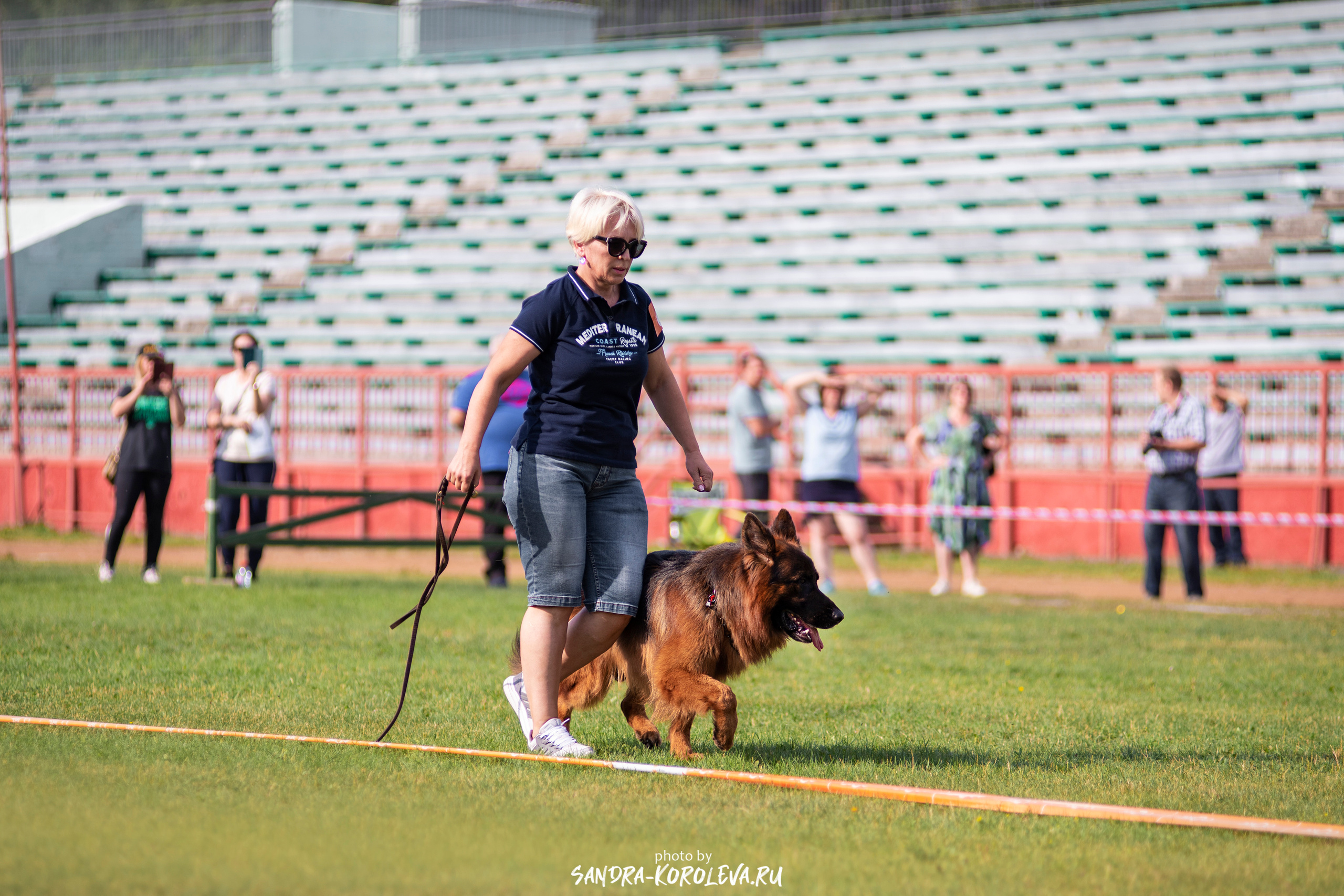 Монопородная выставка немецких овчарок, г. Заречный 2021. Дог-фотограф в Тюмени Александра Королева