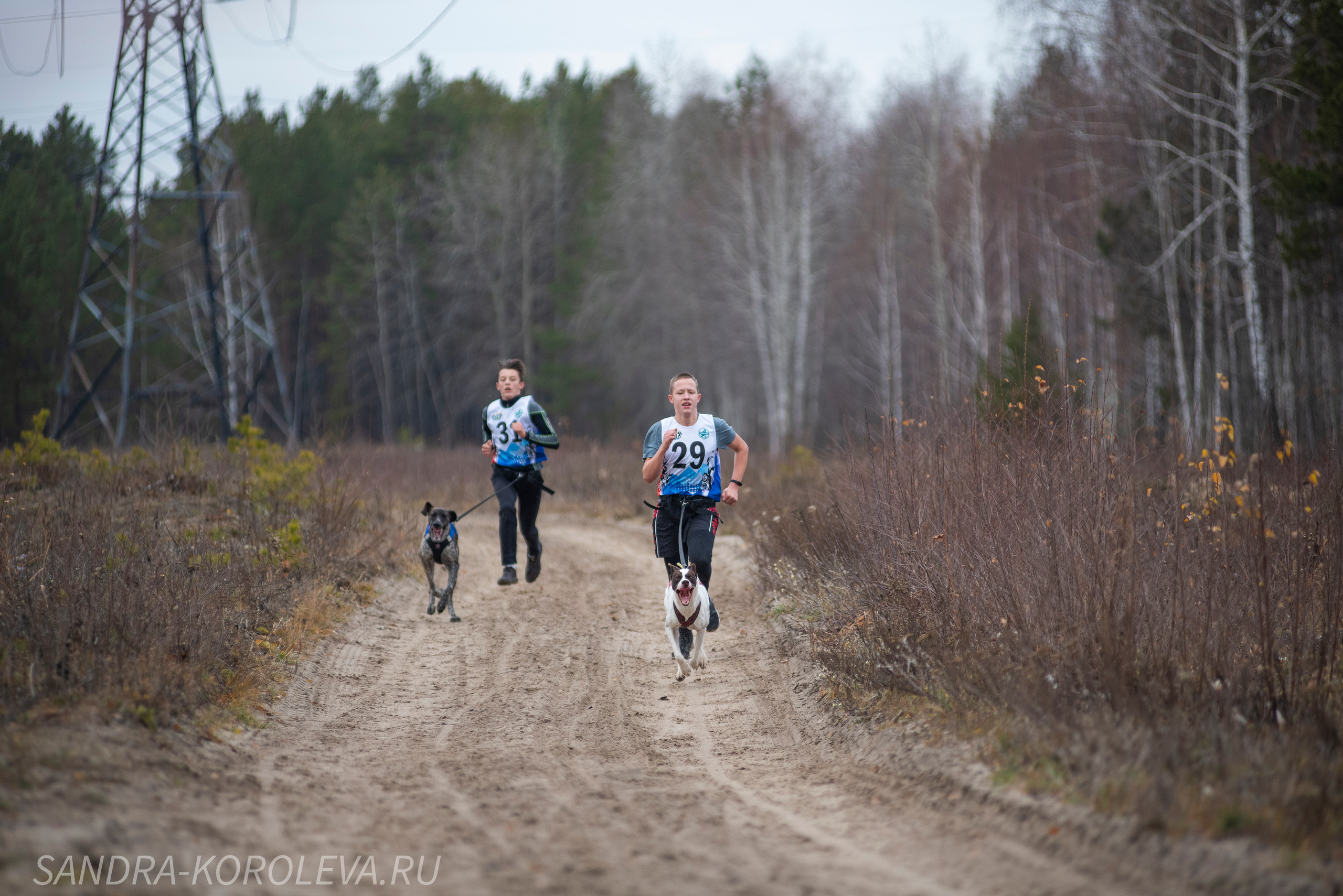 Спринт-гонка «Закрытие сезона» 24.10.2021. Дог-фотограф в Тюмени Александра Королева