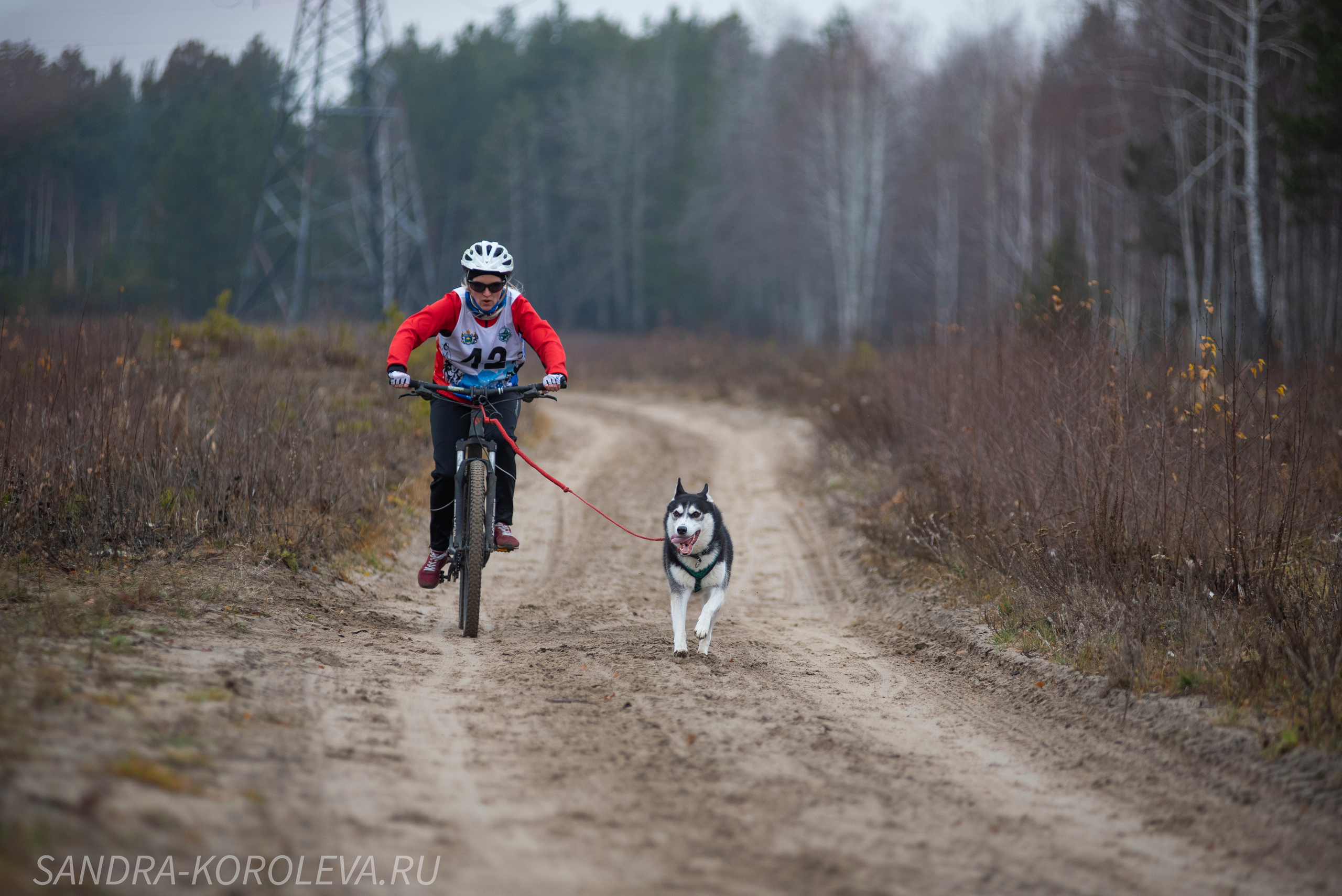 Спринт-гонка «Закрытие сезона» 24.10.2021. Дог-фотограф в Тюмени Александра Королева