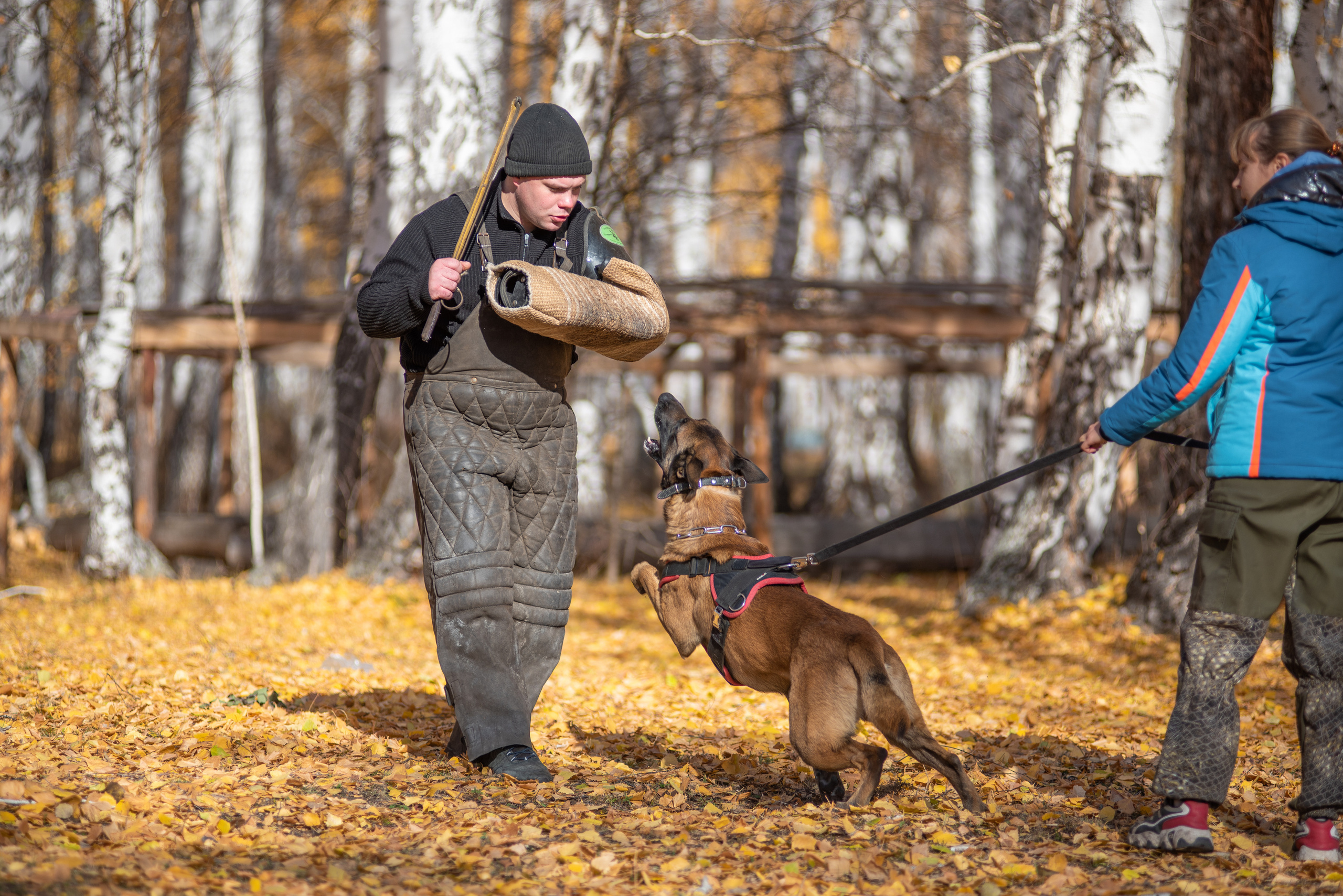 RUSSIAN HELPERS SCHOOL. Магнитогорск октябрь 2021. Дог-фотограф в Тюмени Александра Королева