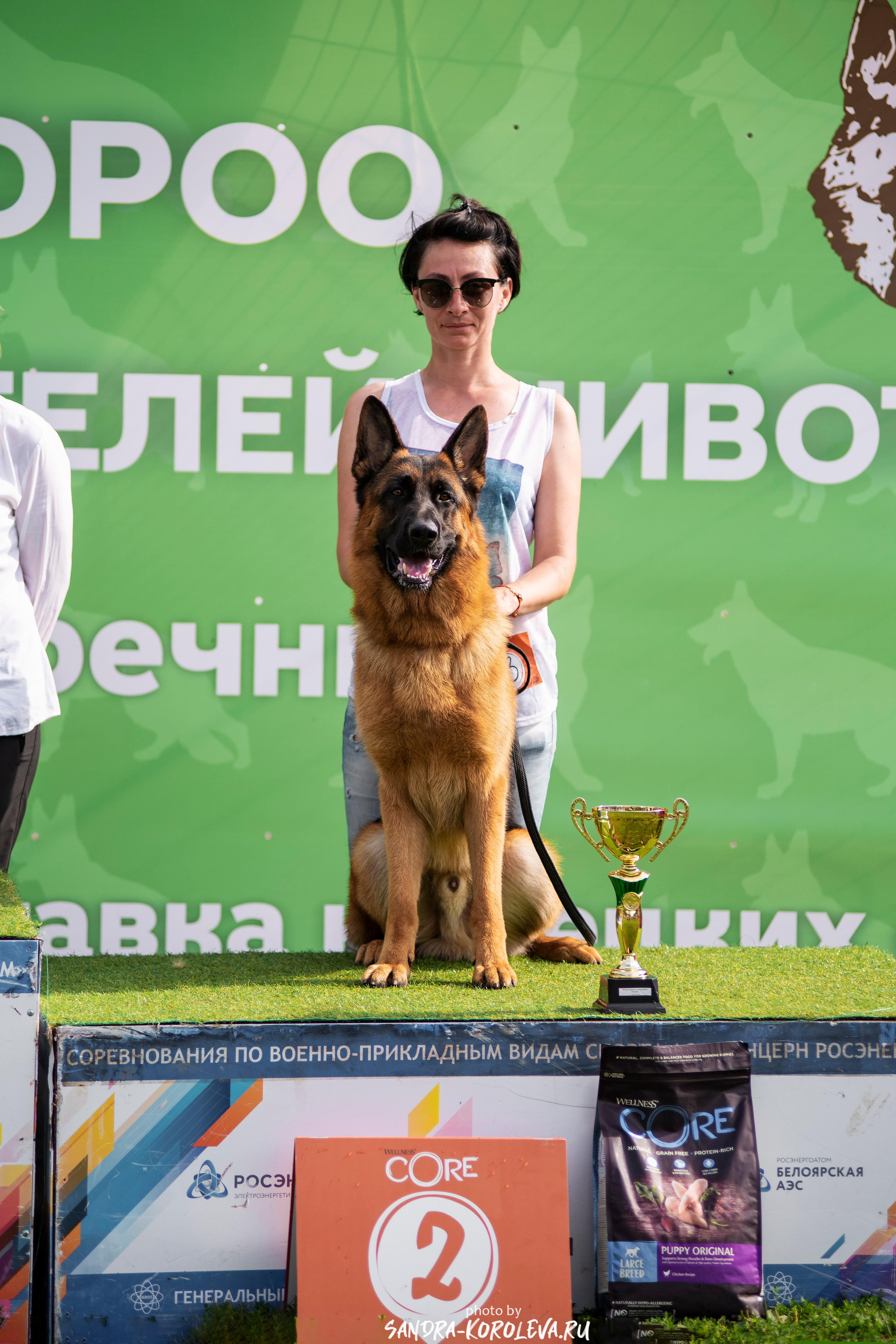 Монопородная выставка немецких овчарок, г. Заречный 2021. Дог-фотограф в Тюмени Александра Королева