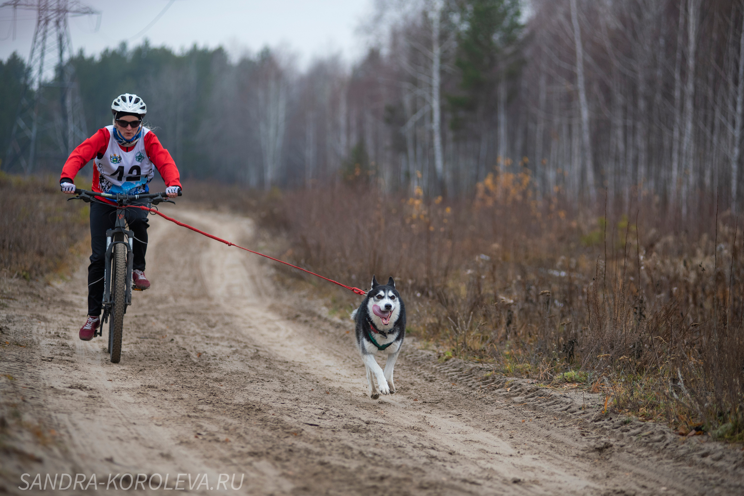 Спринт-гонка «Закрытие сезона» 24.10.2021. Дог-фотограф в Тюмени Александра Королева
