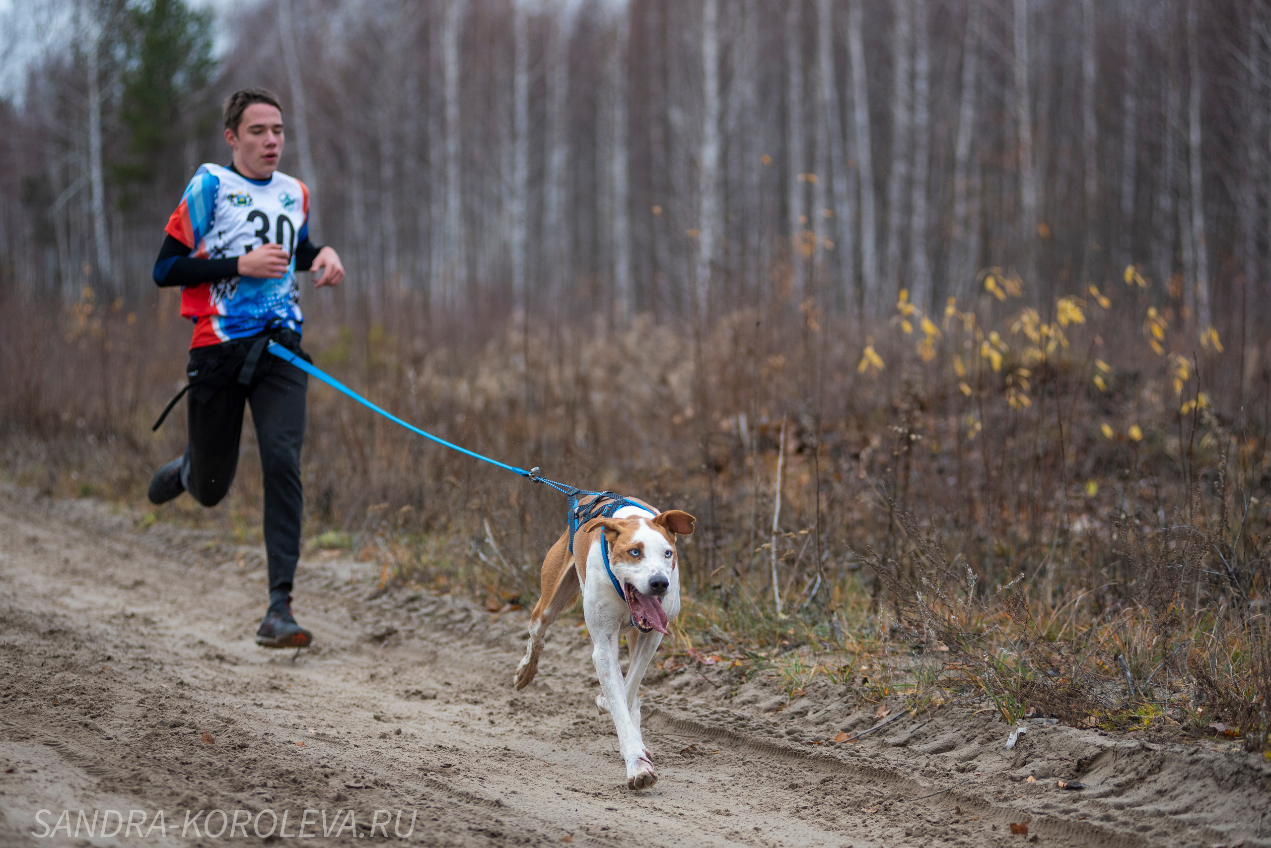 Спринт-гонка «Закрытие сезона» 24.10.2021. Дог-фотограф в Тюмени Александра Королева