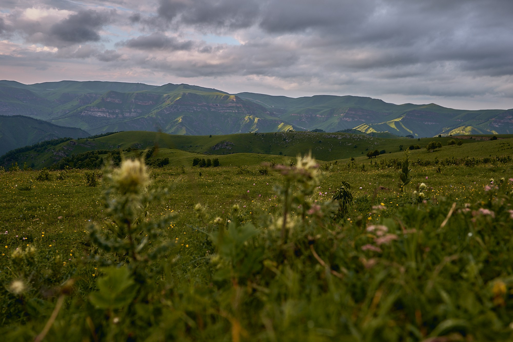 Arkhyz WildTrail Trip. Юлия Иванова. Фотограф для лучших моментов