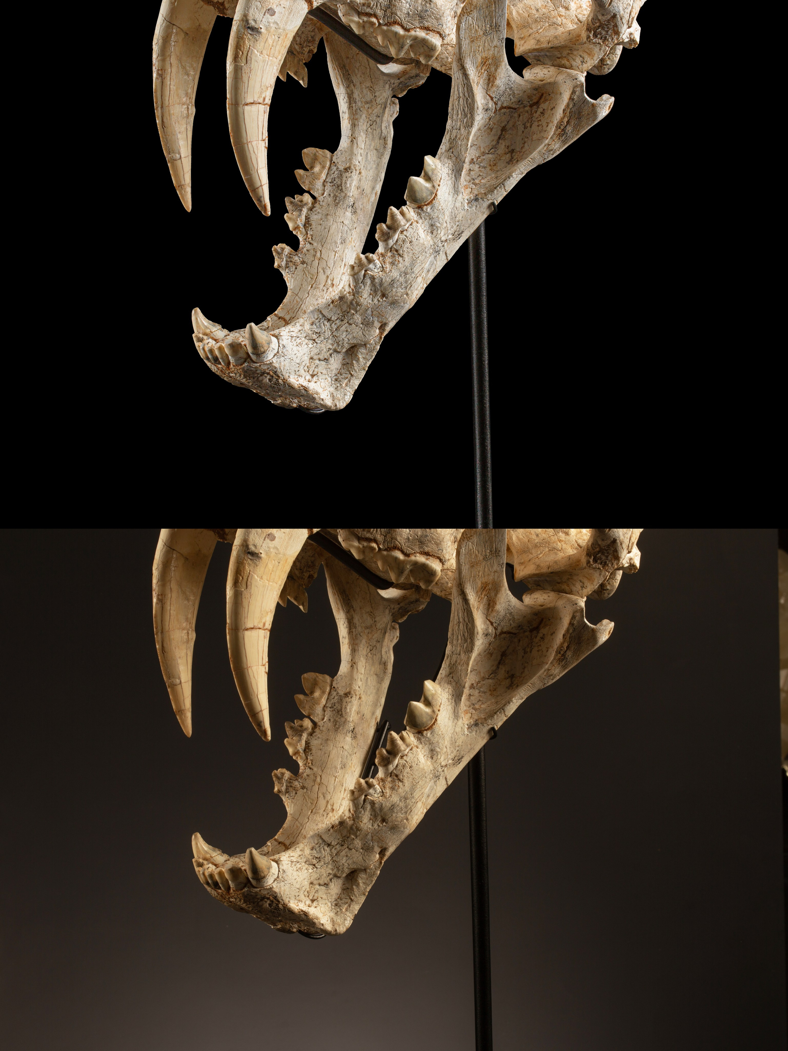 Профессиональная обработка натуральных камней, минералов и ископаемых | Студия SVITHART