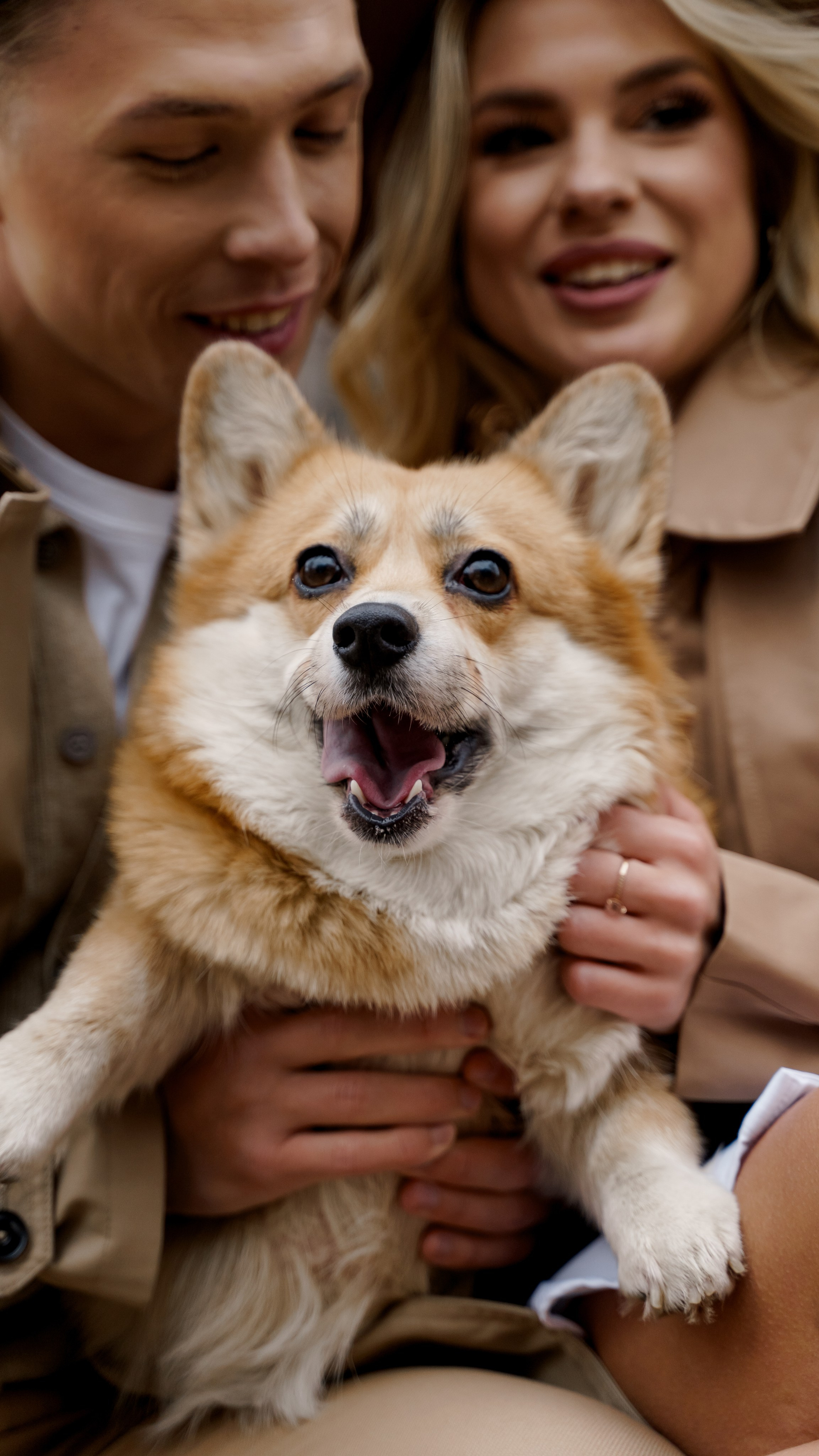 Юлия и Евгений. Свадебный фотограф Санкт-Петербург, Сочи, Питер, Выборг, Луга, Псков