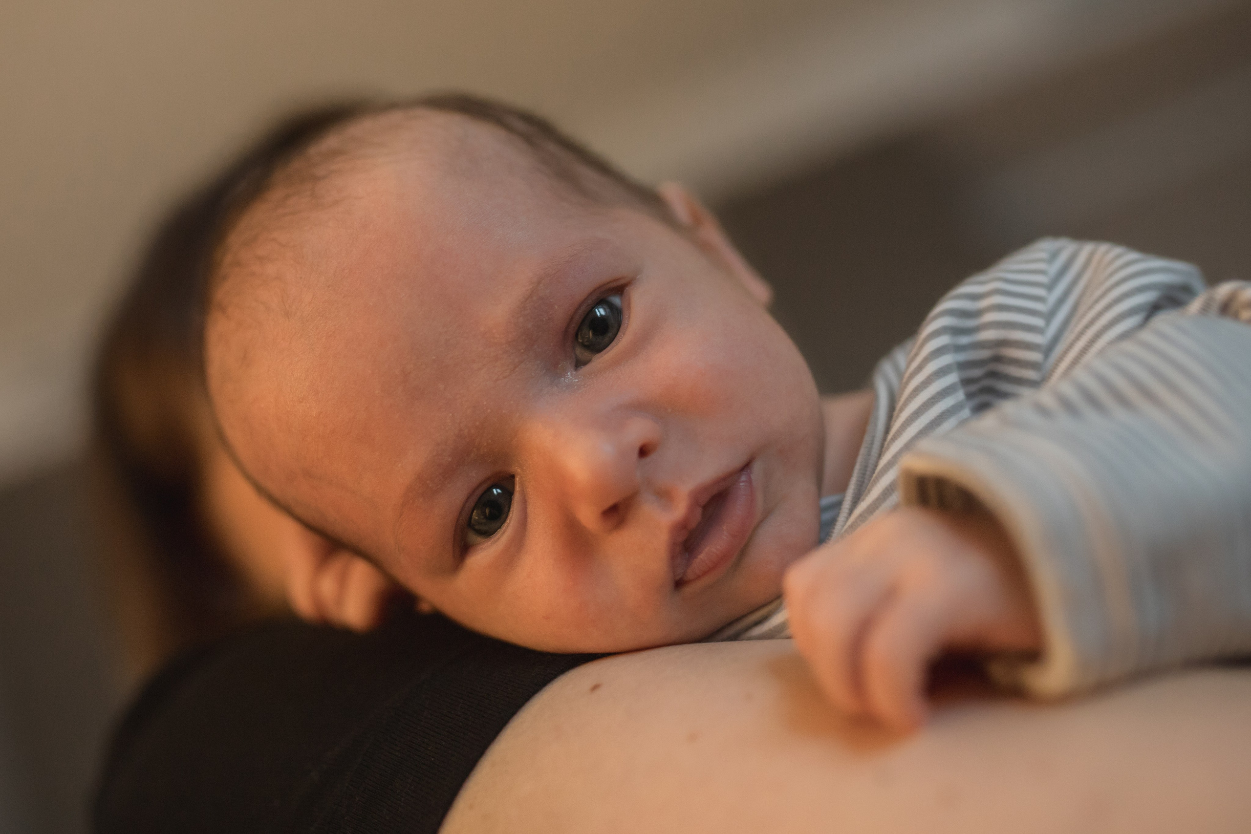 Младший брат. Семейный и школьный фотограф в Москве Анна Ткач