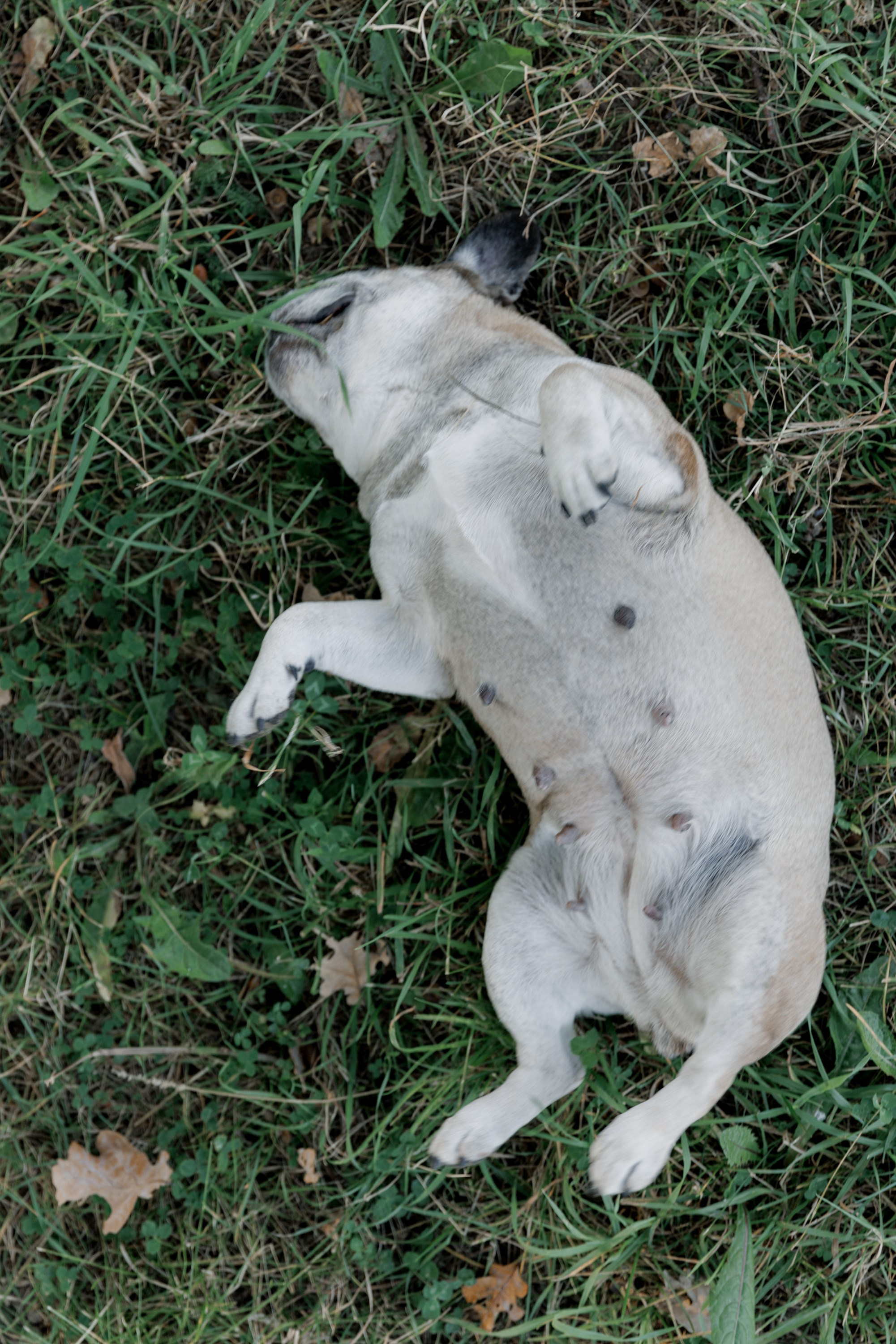 Теплая история в парке. Кравченко Сергей — фотограф для тебя в Москве