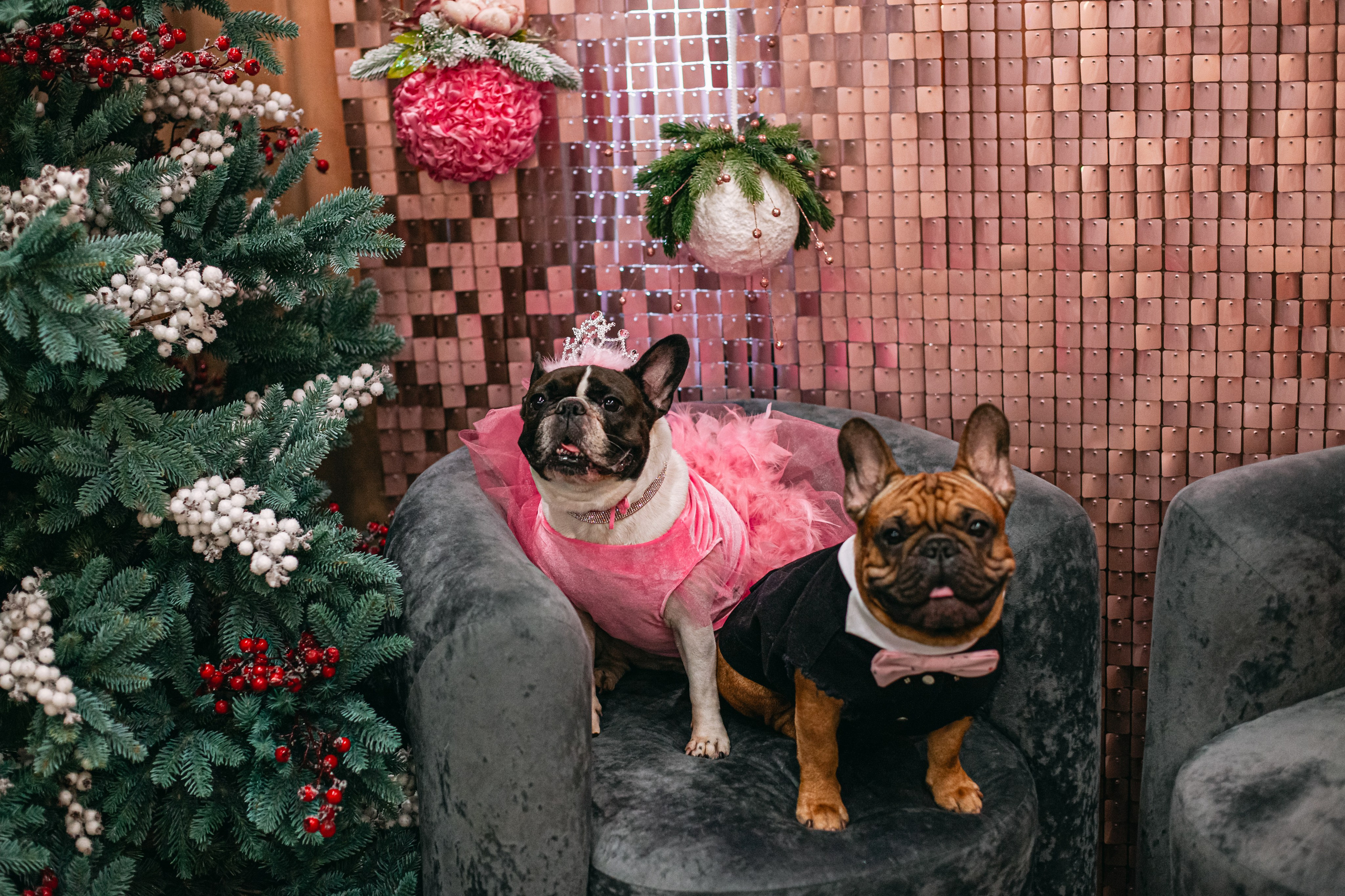 Бульёлка 2024. Фотограф-анималист Татьяна Степанова