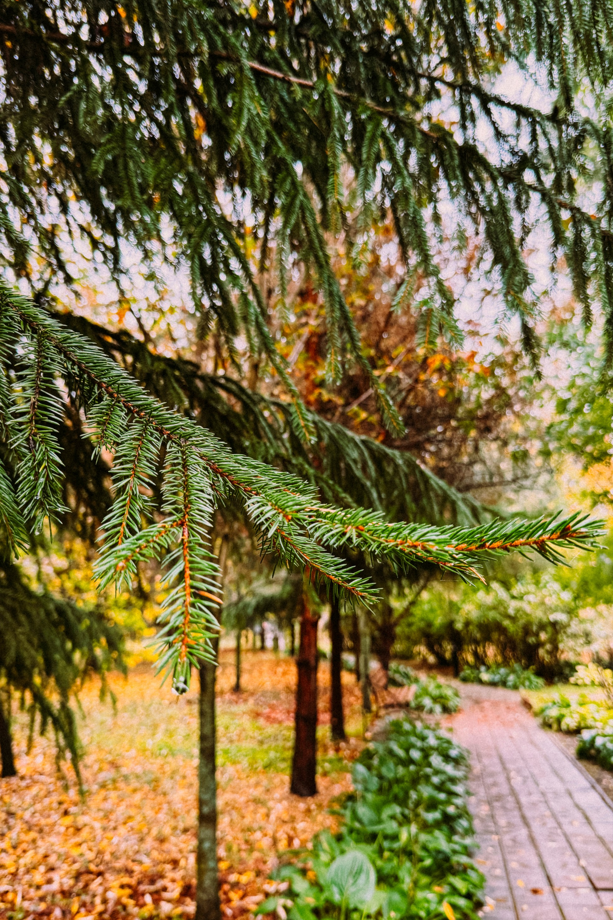 Природа. Команда фотографов Кристины Ивановой