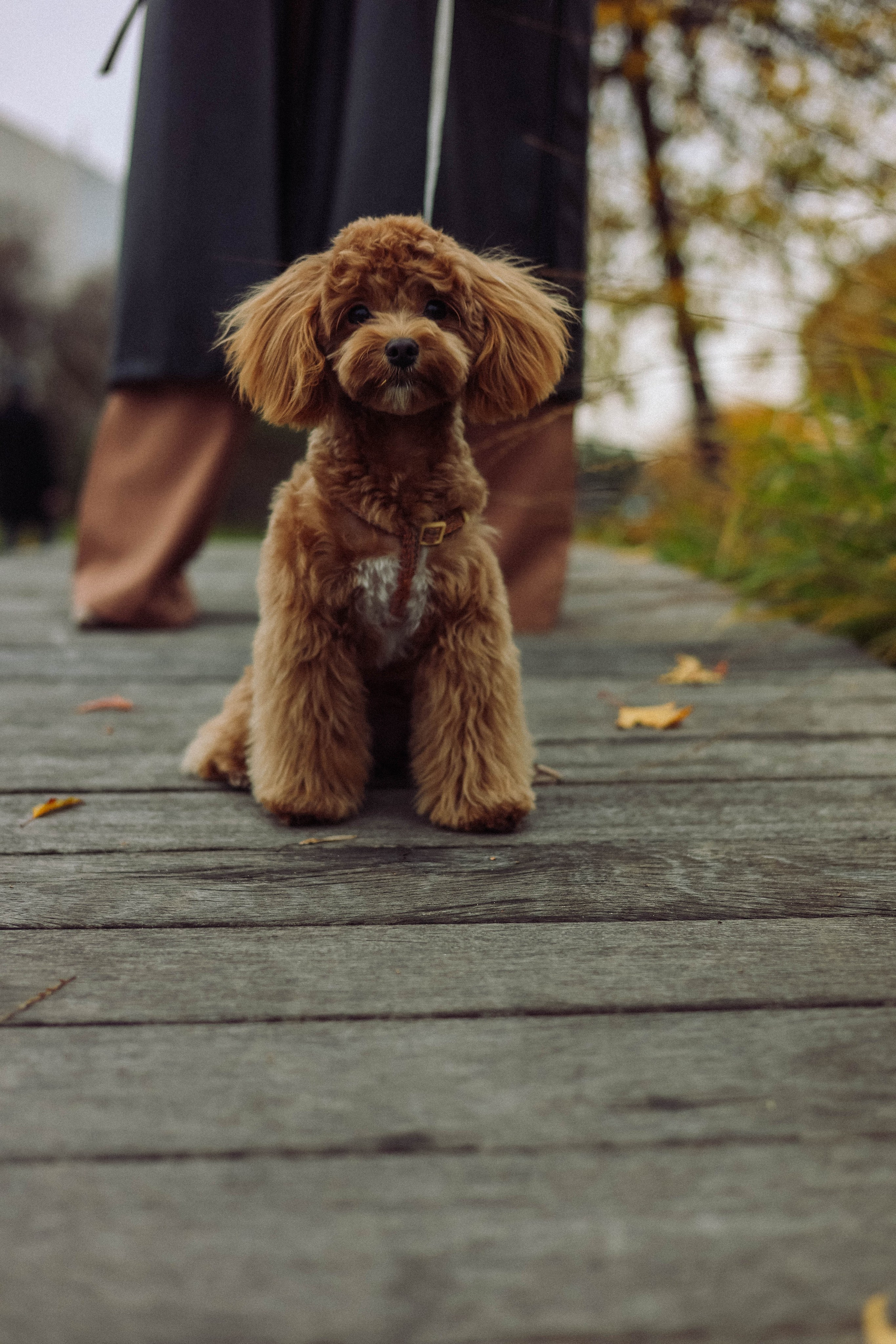 Кира. Фотограф в Москве Анастасия Калинина