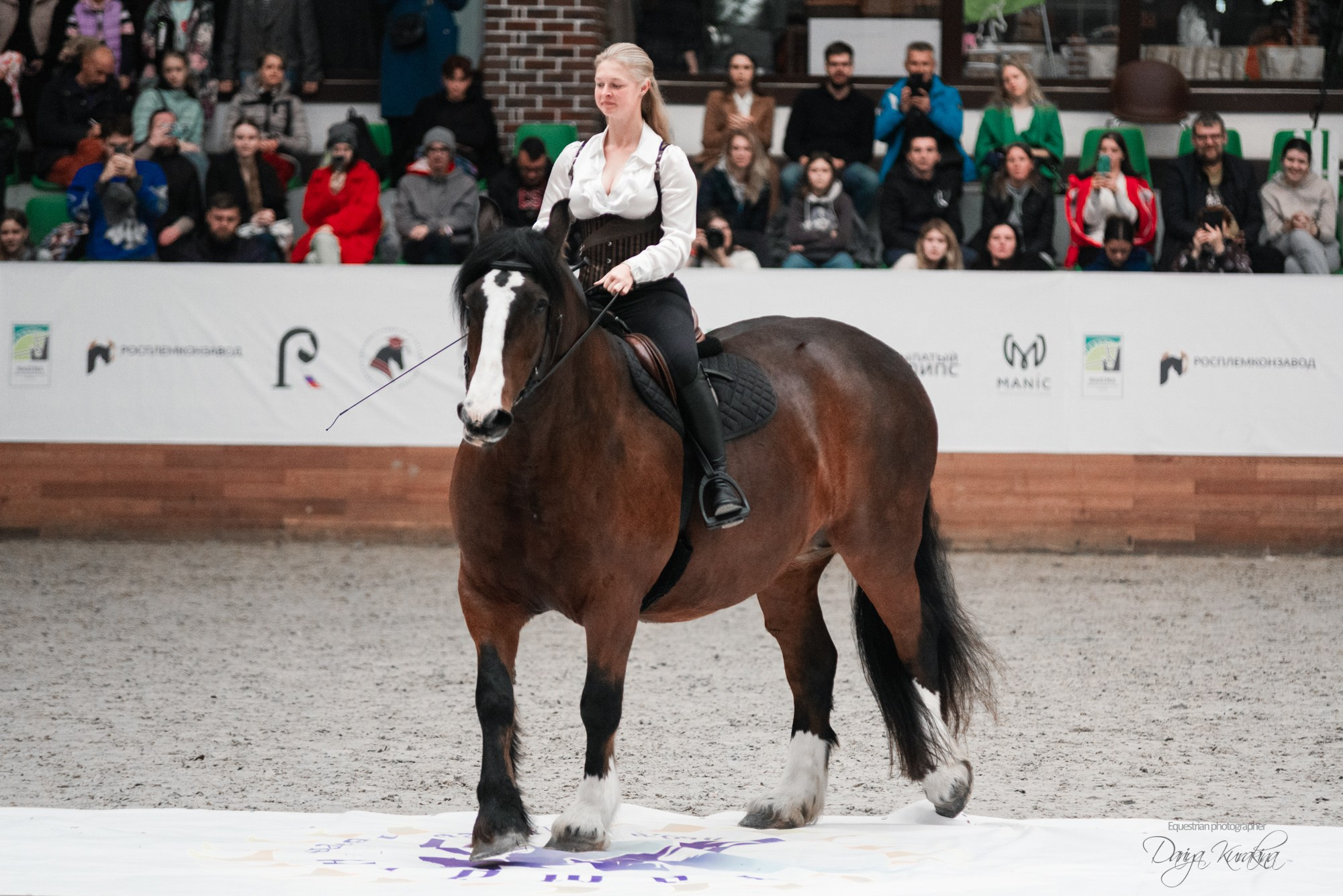 8-я международная выставка Конная Россия. Конный фотограф Куракина Дарья • Фотосессии с лошадьми