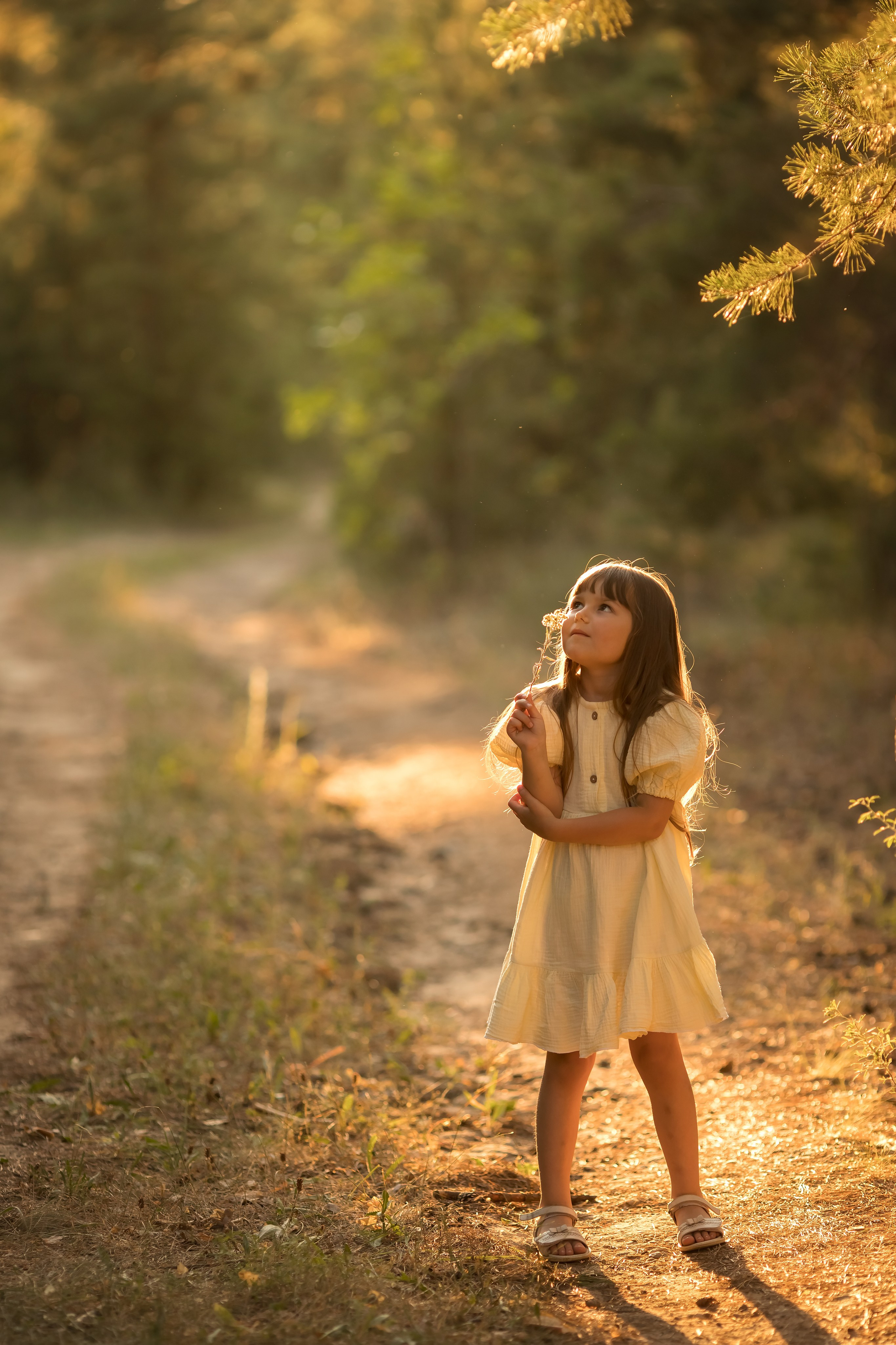 В летнем солнце. Семейный и детский фотограф в Саратове Полина Коткина