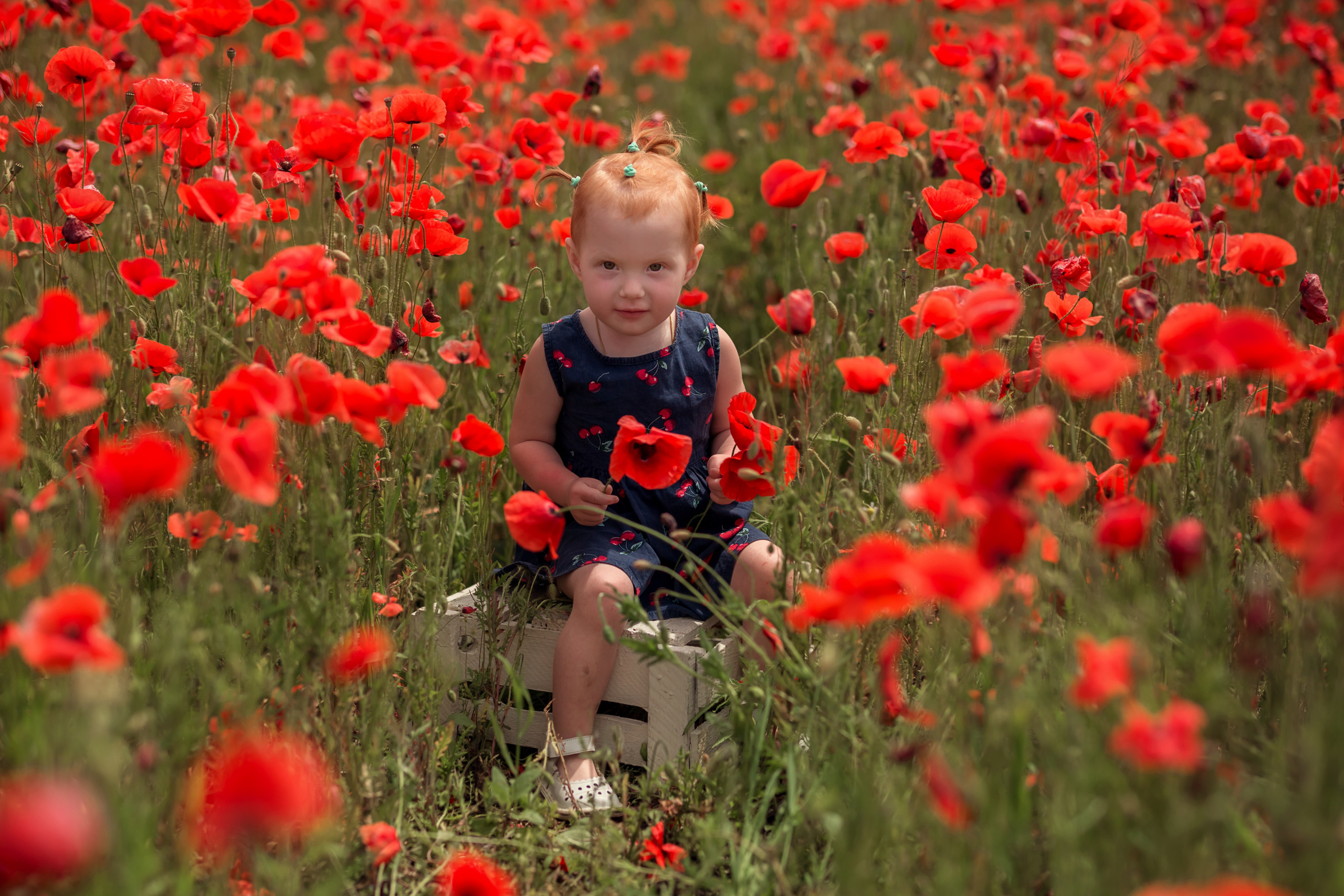 Маковое поле. Семейный и детский фотограф Екатерина Савёлова