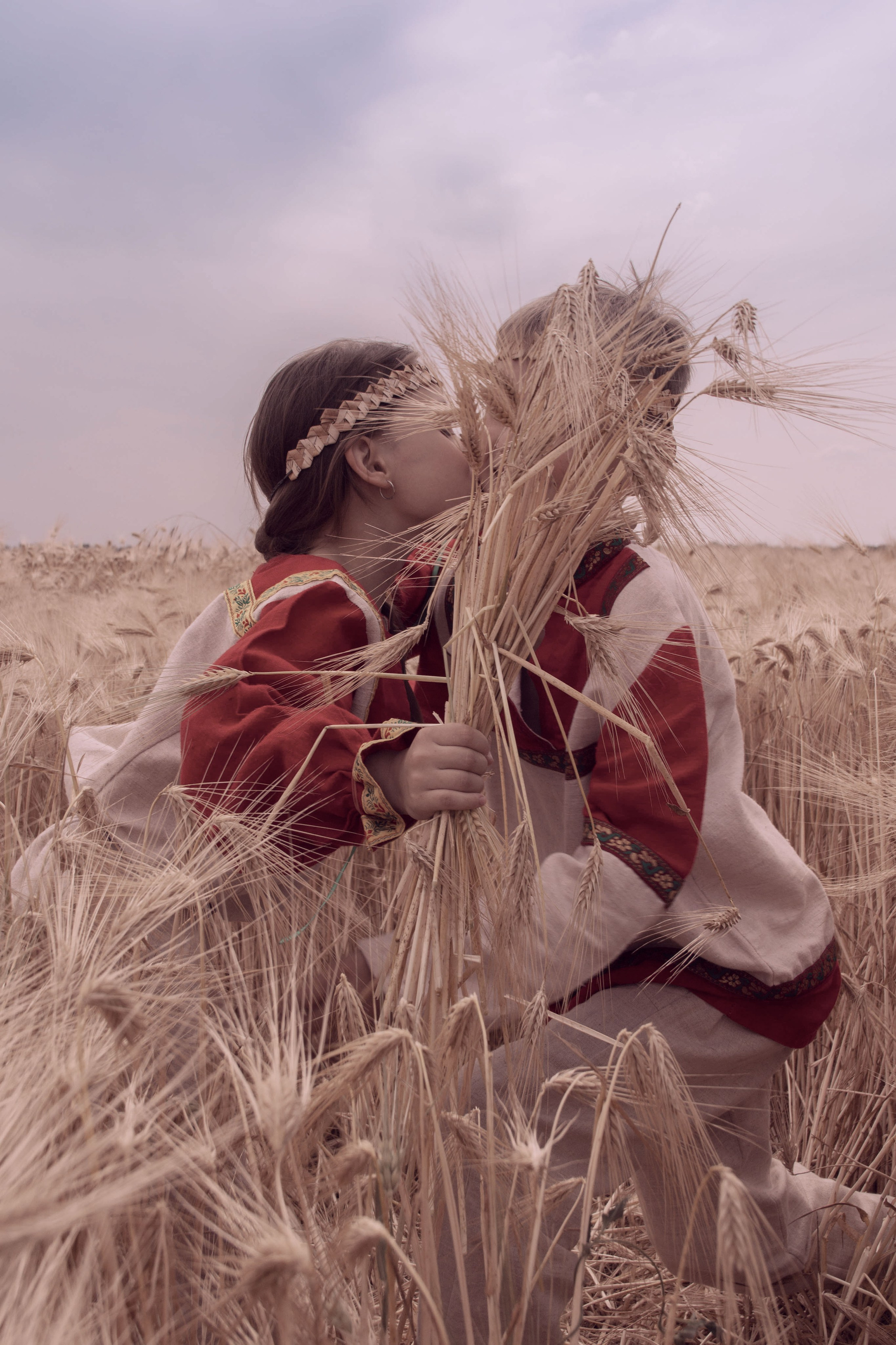 Поле золотое