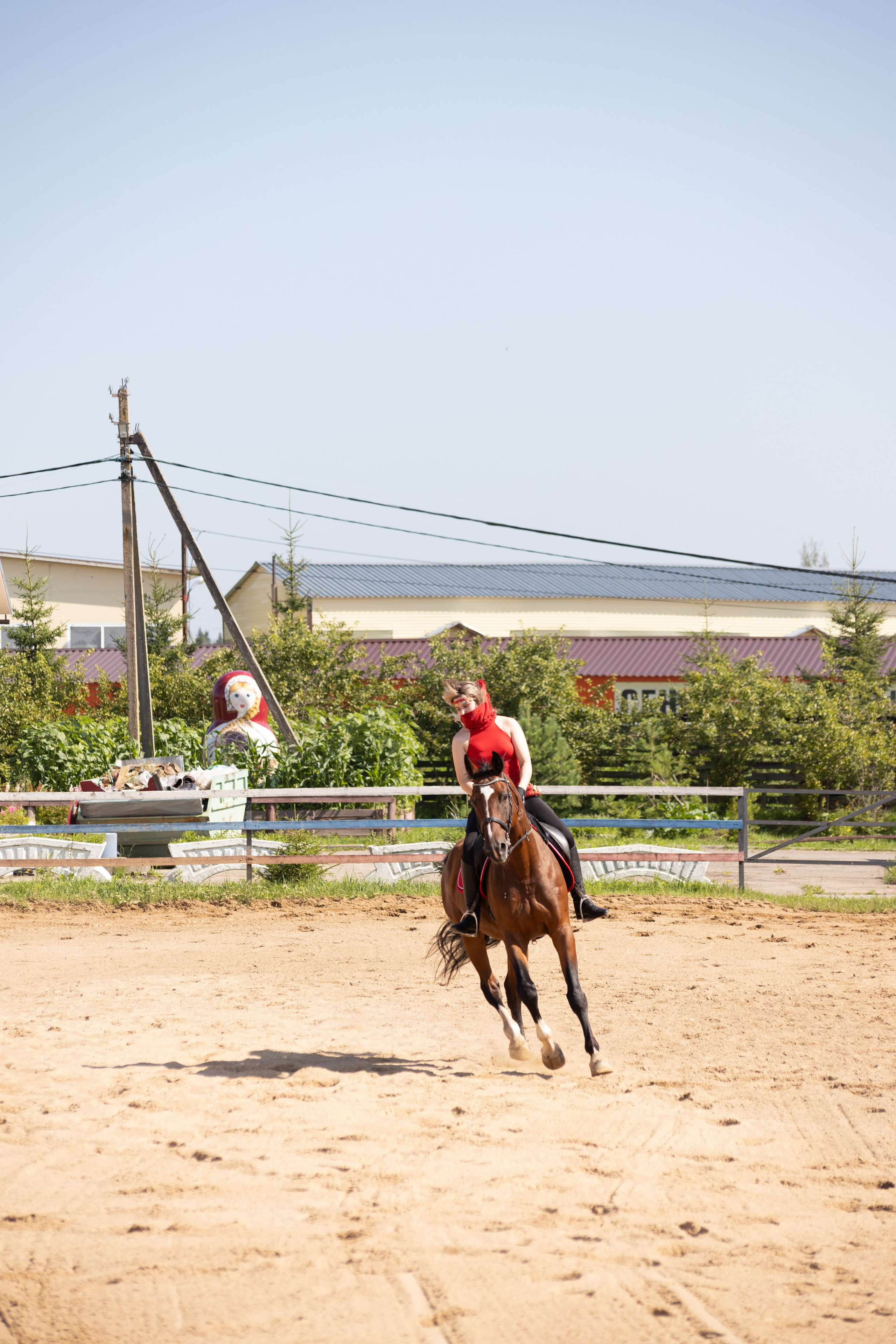Конюшня. Фотограф в Москве и Истре