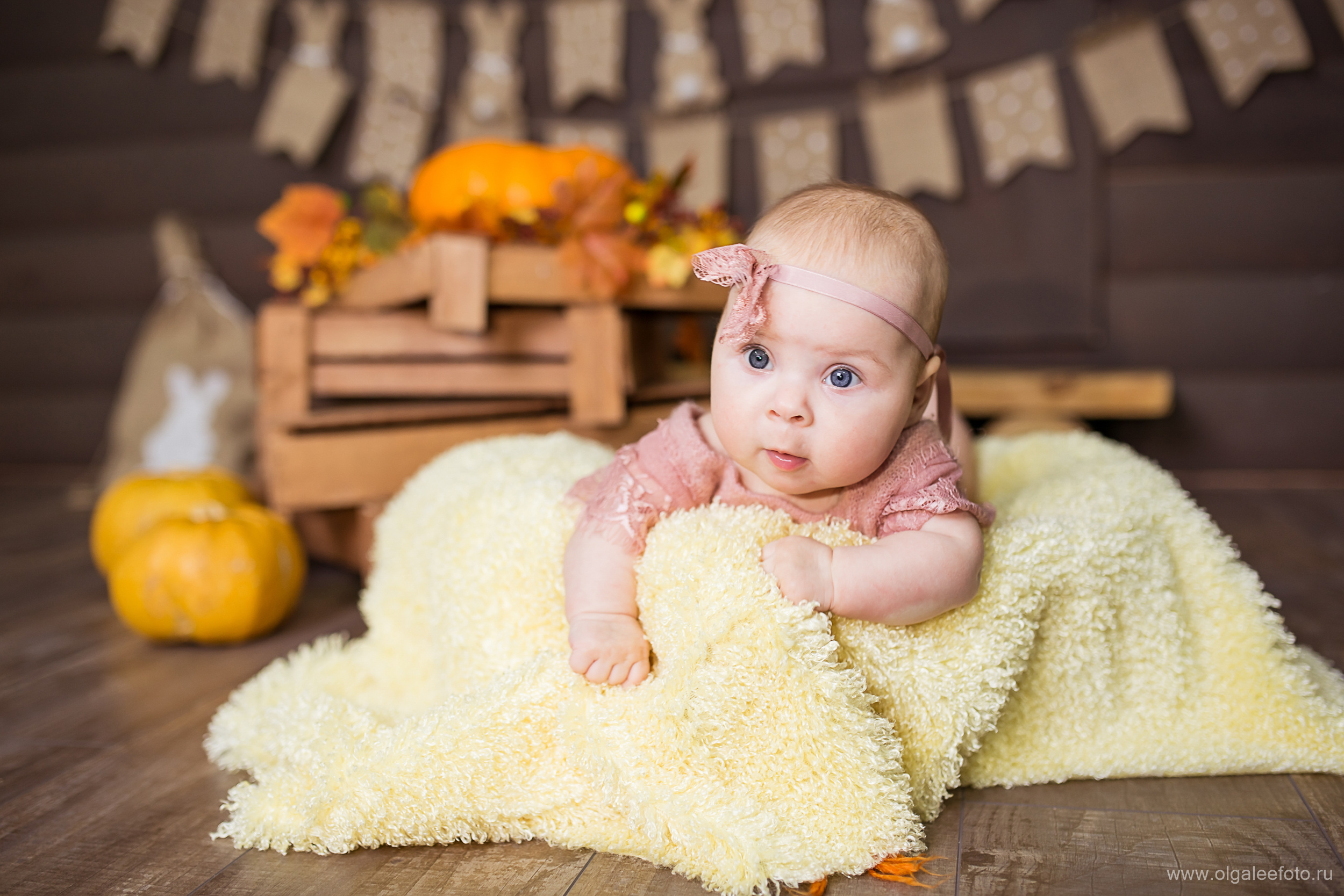 Марго и семья. Ольга Ли свадебный семейный фотограф Иркутск
