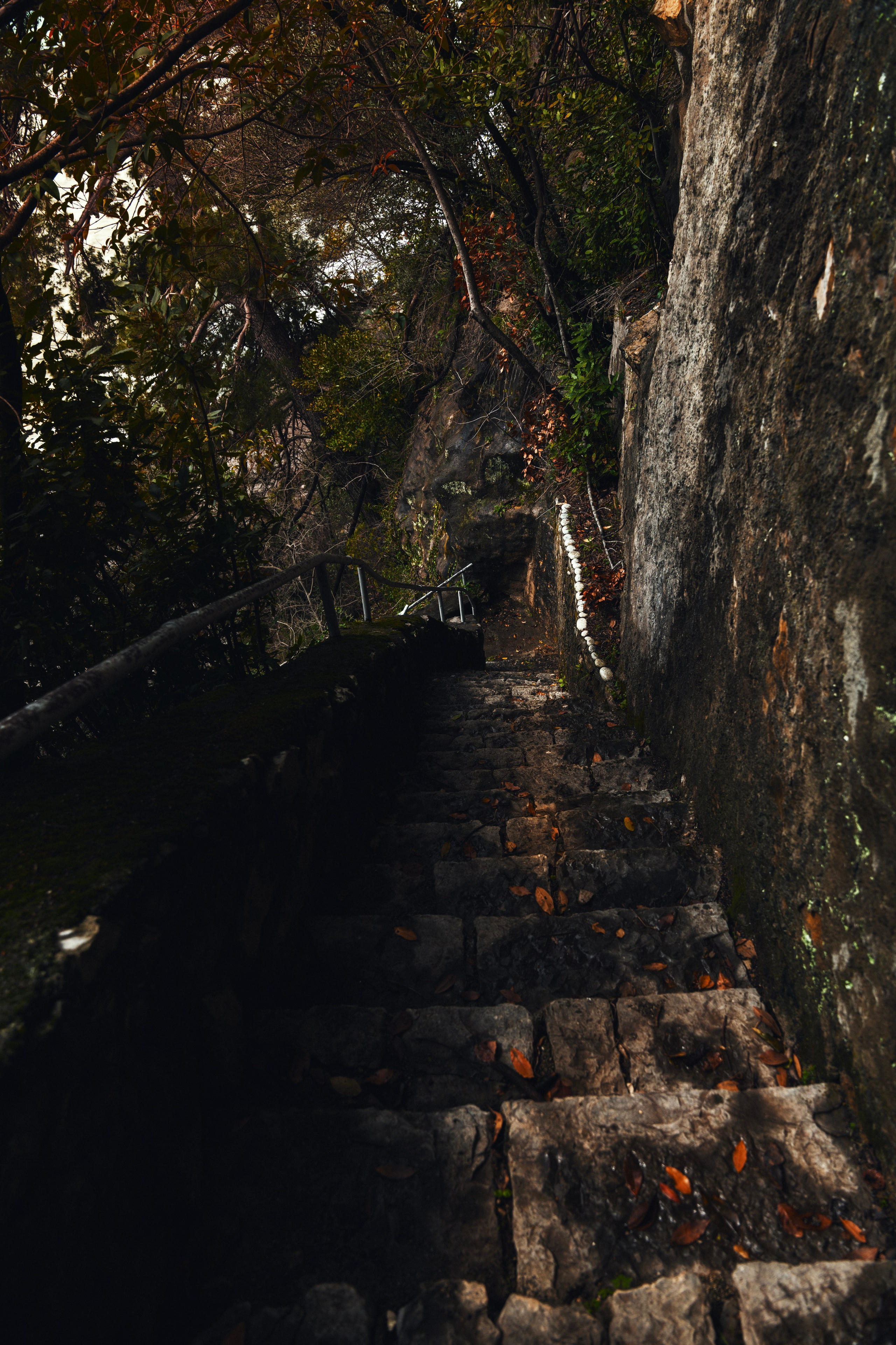 Заставки. Главная