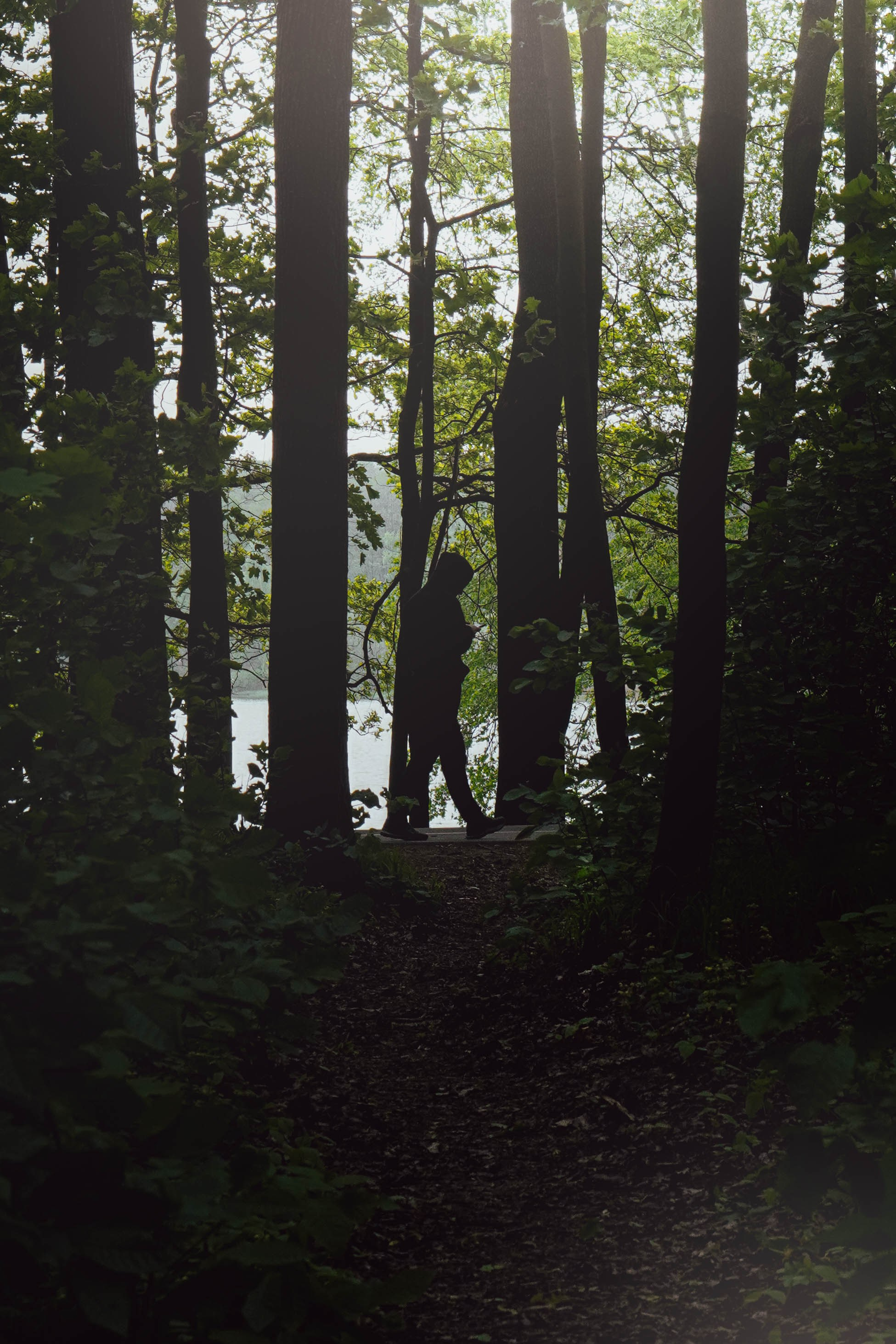 Уличная съёмка (2). Видео и Фото