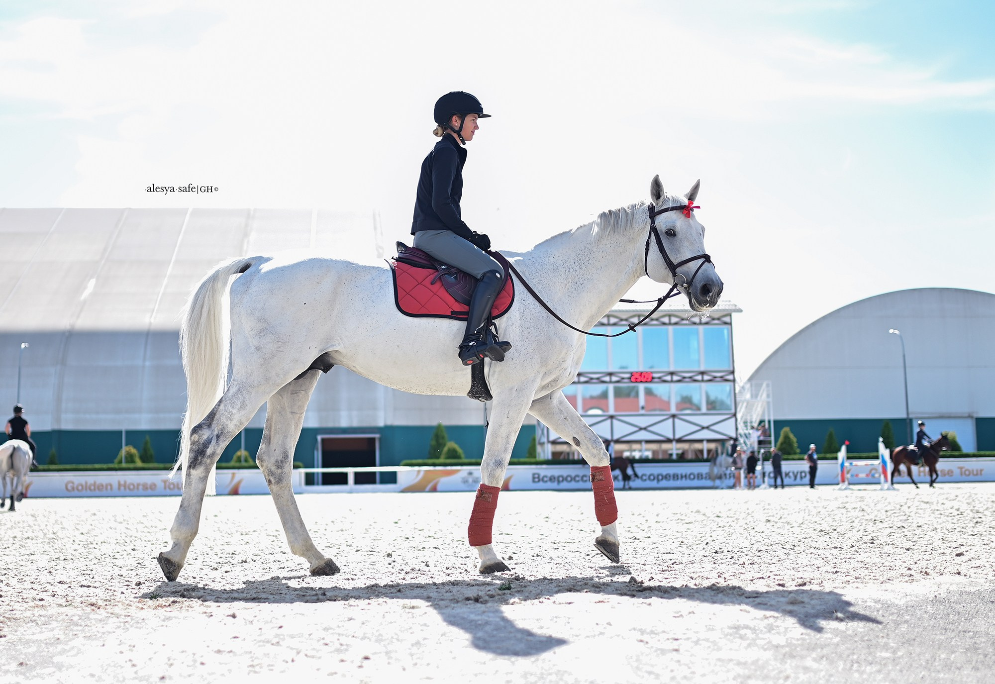 Голден. Конный фотограф Alesya Safe