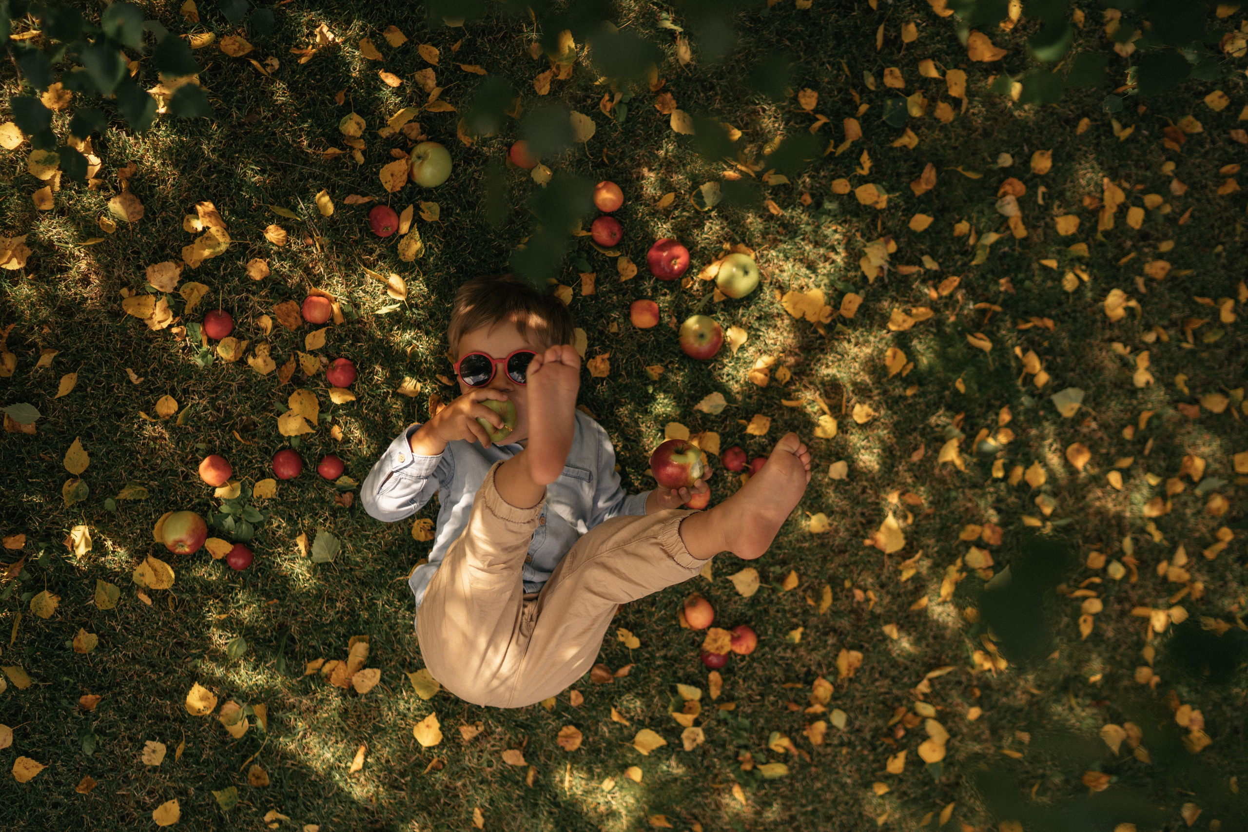 Яблочный Спас. Семейный и детский фотограф Москва Дарья Бугра