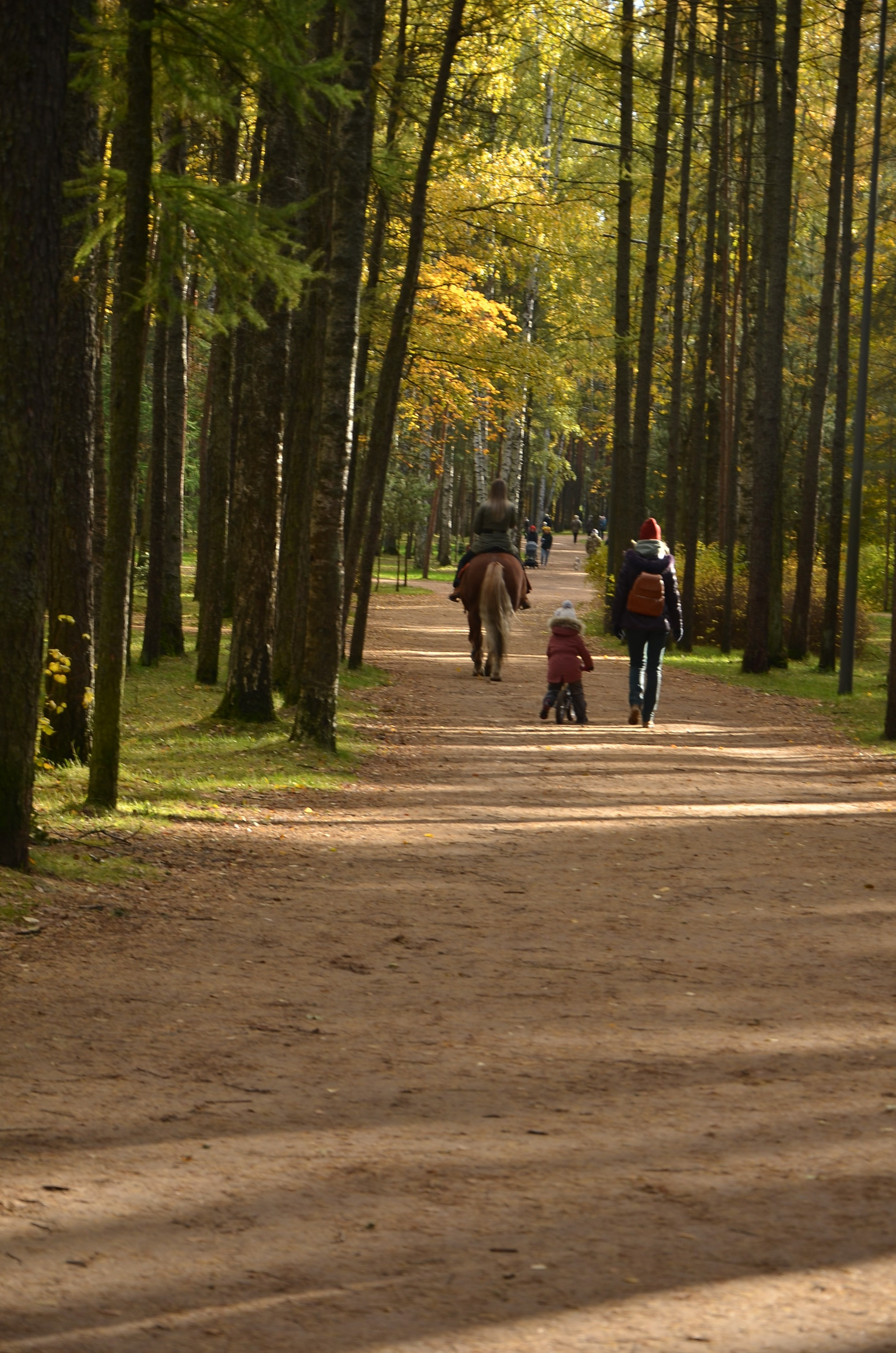 Природа и анималистика. Добро пожаловать на мой сайт, меня зовут Наталия, я фотограф