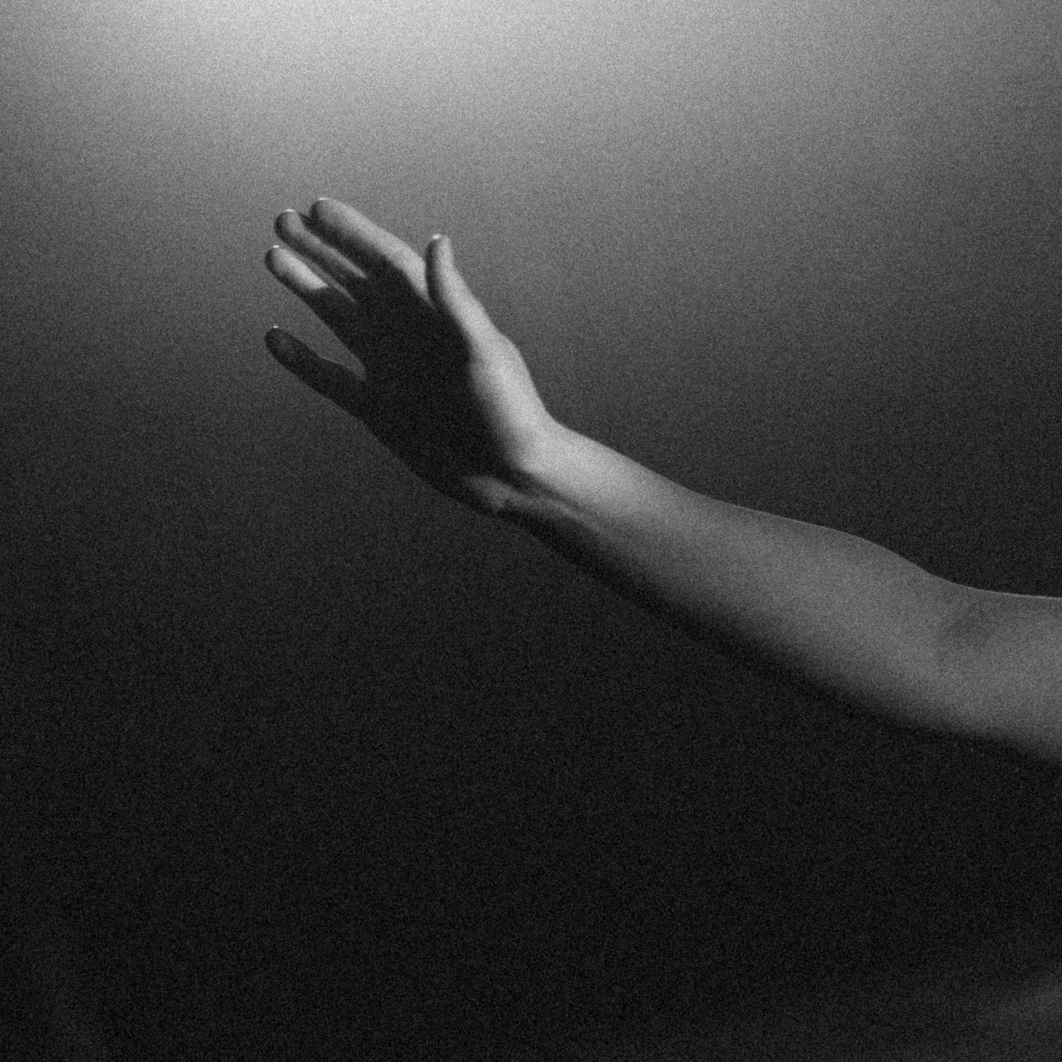 Контраст. Свадебный фотограф Максим Яненко в Волгограде